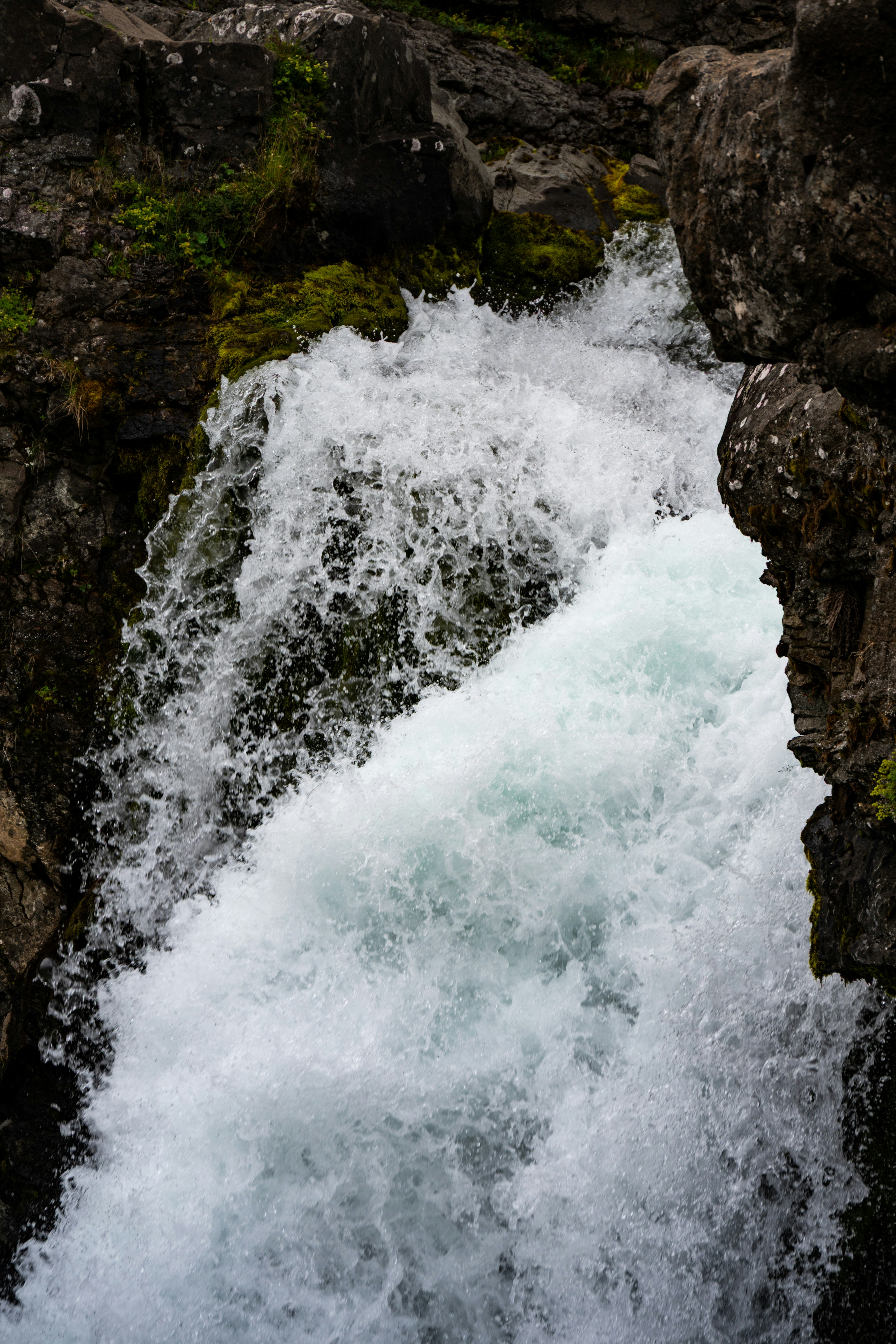 Photo by justmejuliee