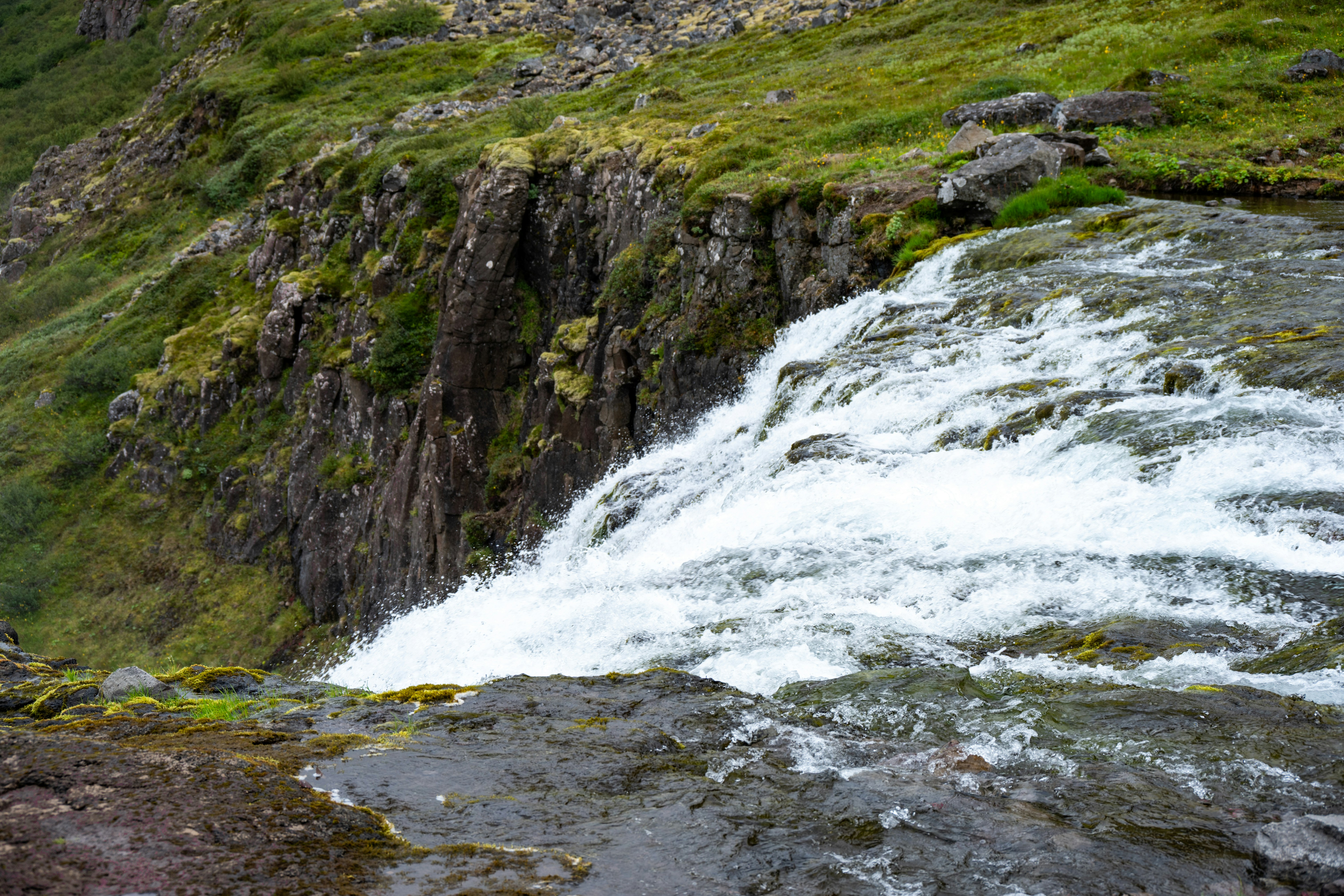 Photo by justmejuliee