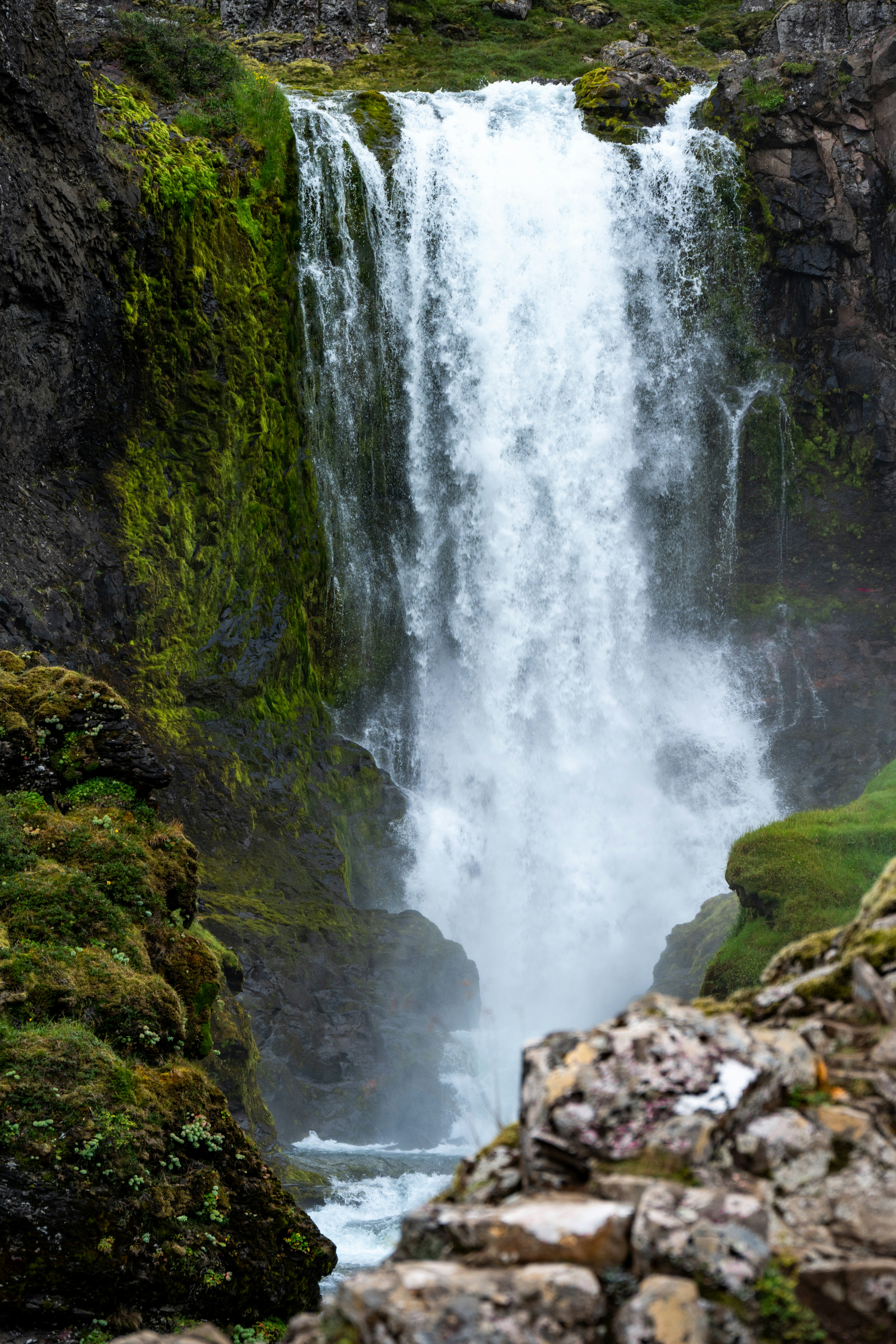 Photo by justmejuliee