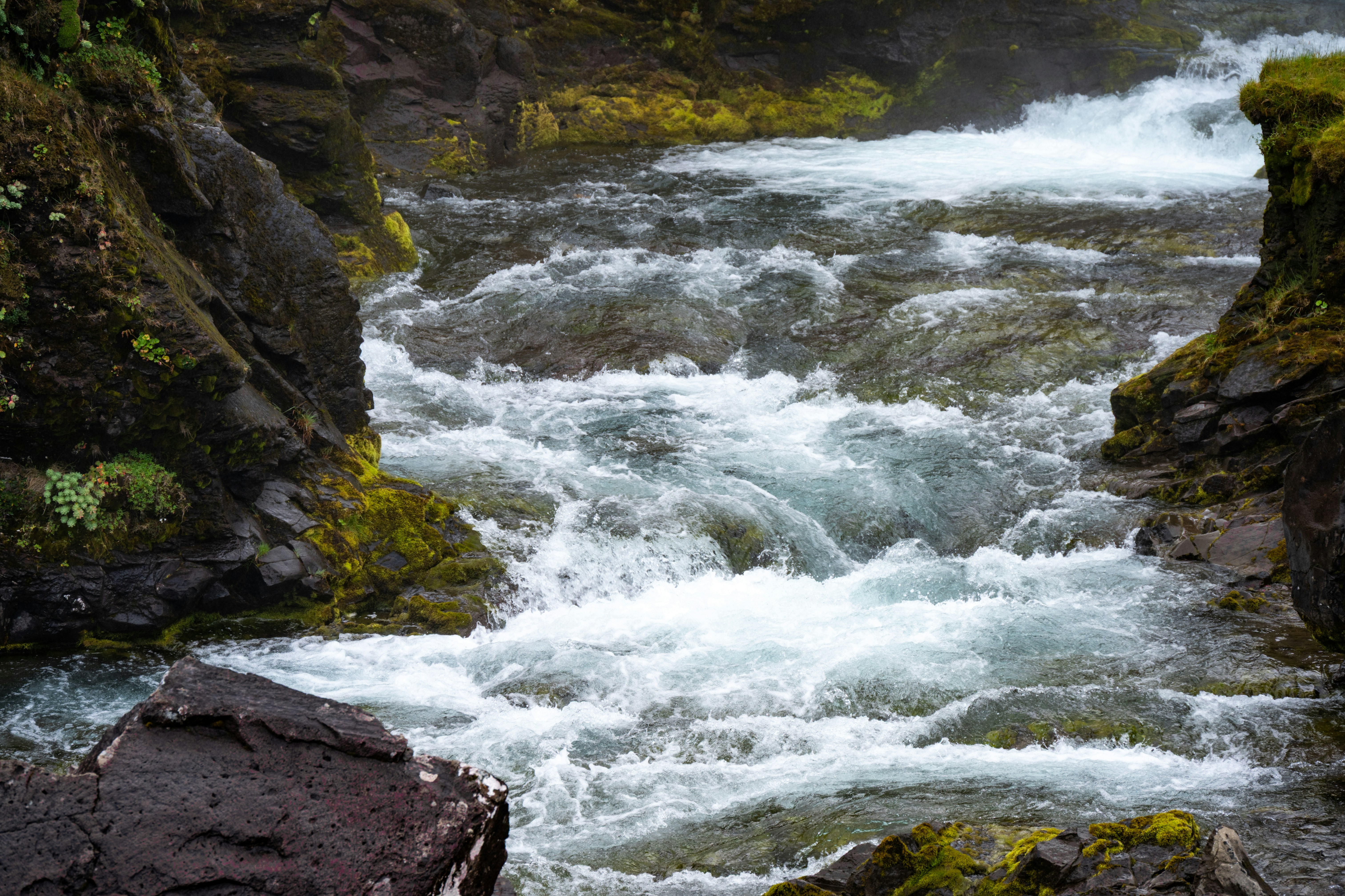 Photo by justmejuliee