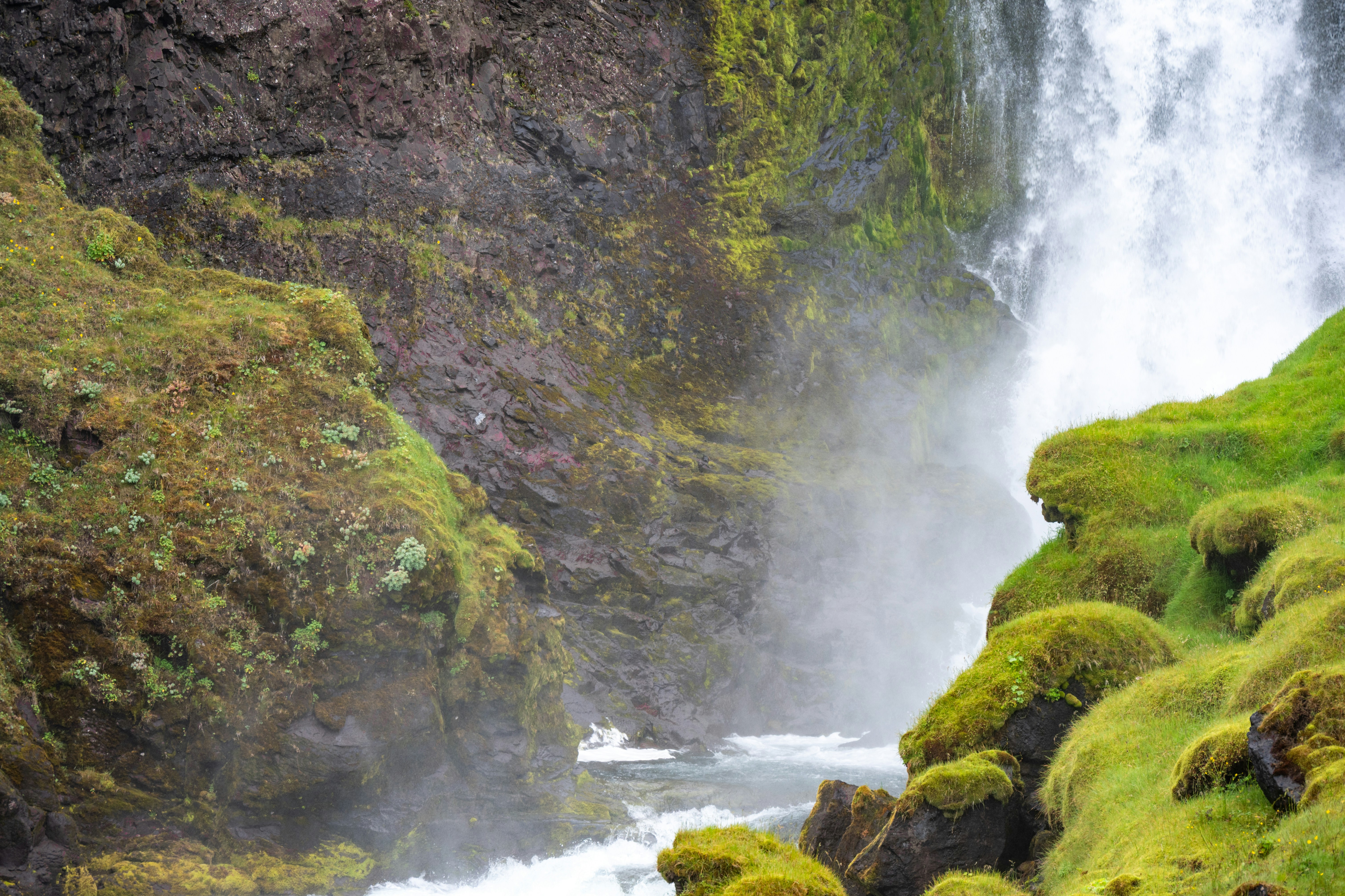 Photo by justmejuliee