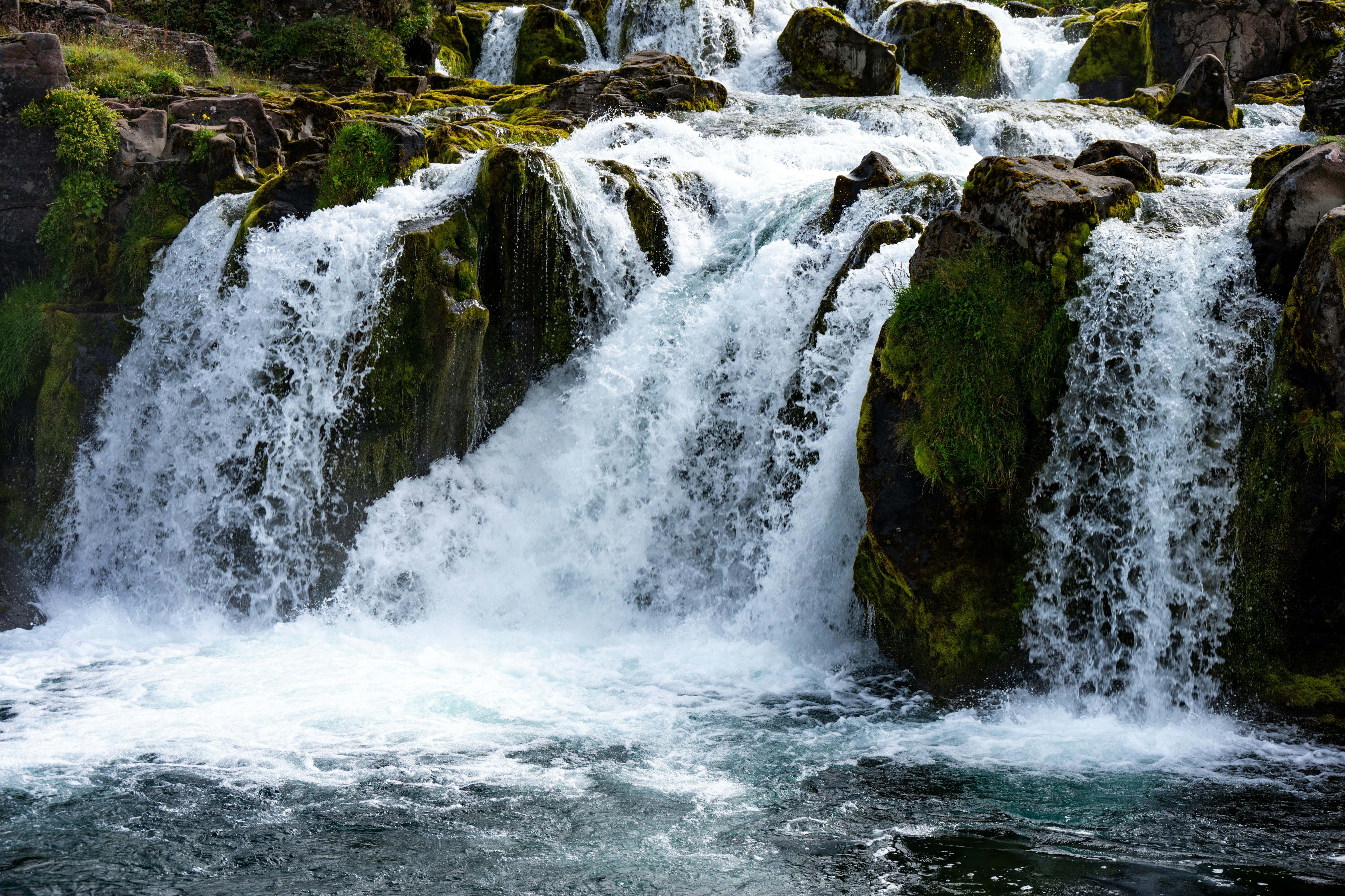 Photo by justmejuliee