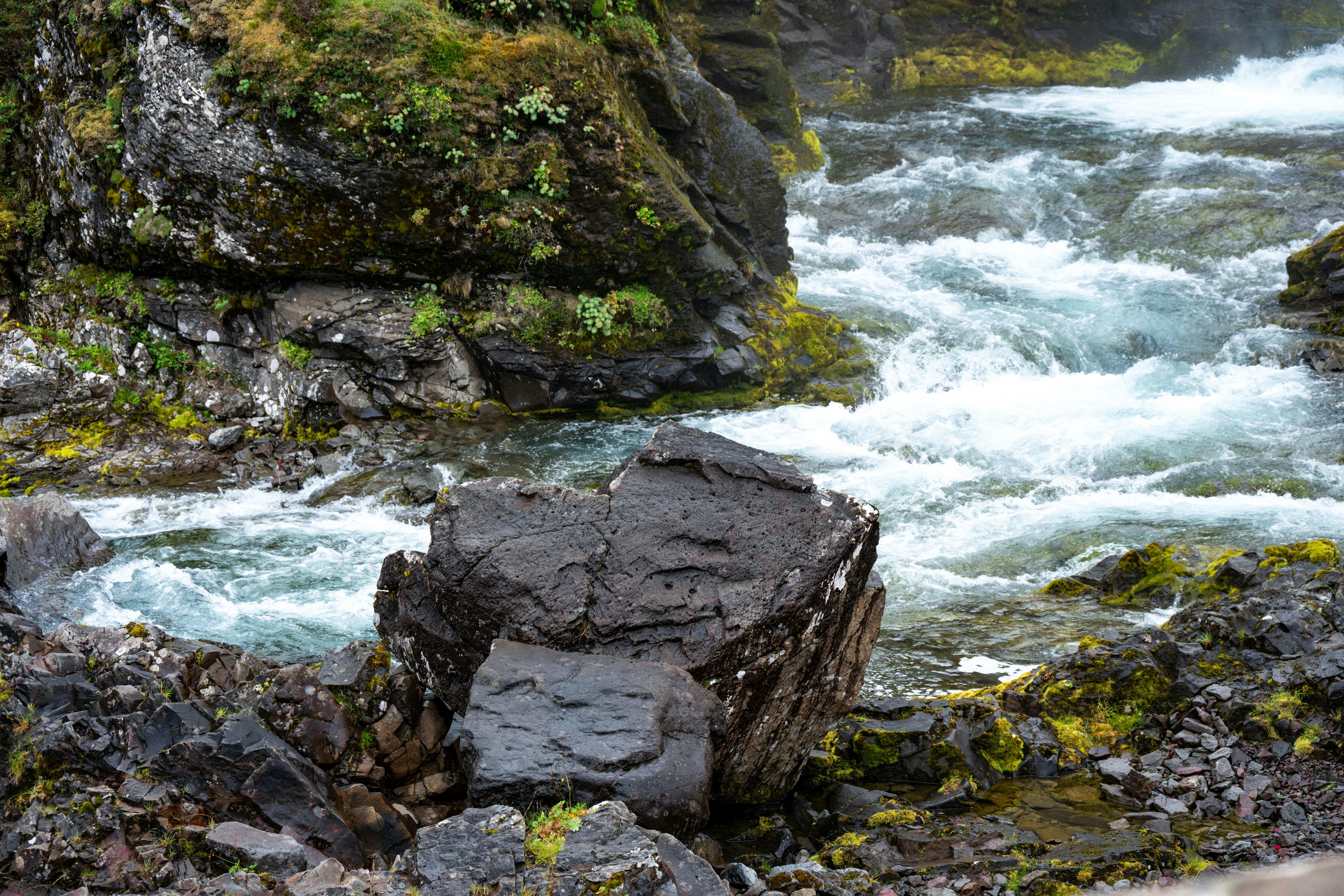 Photo by justmejuliee