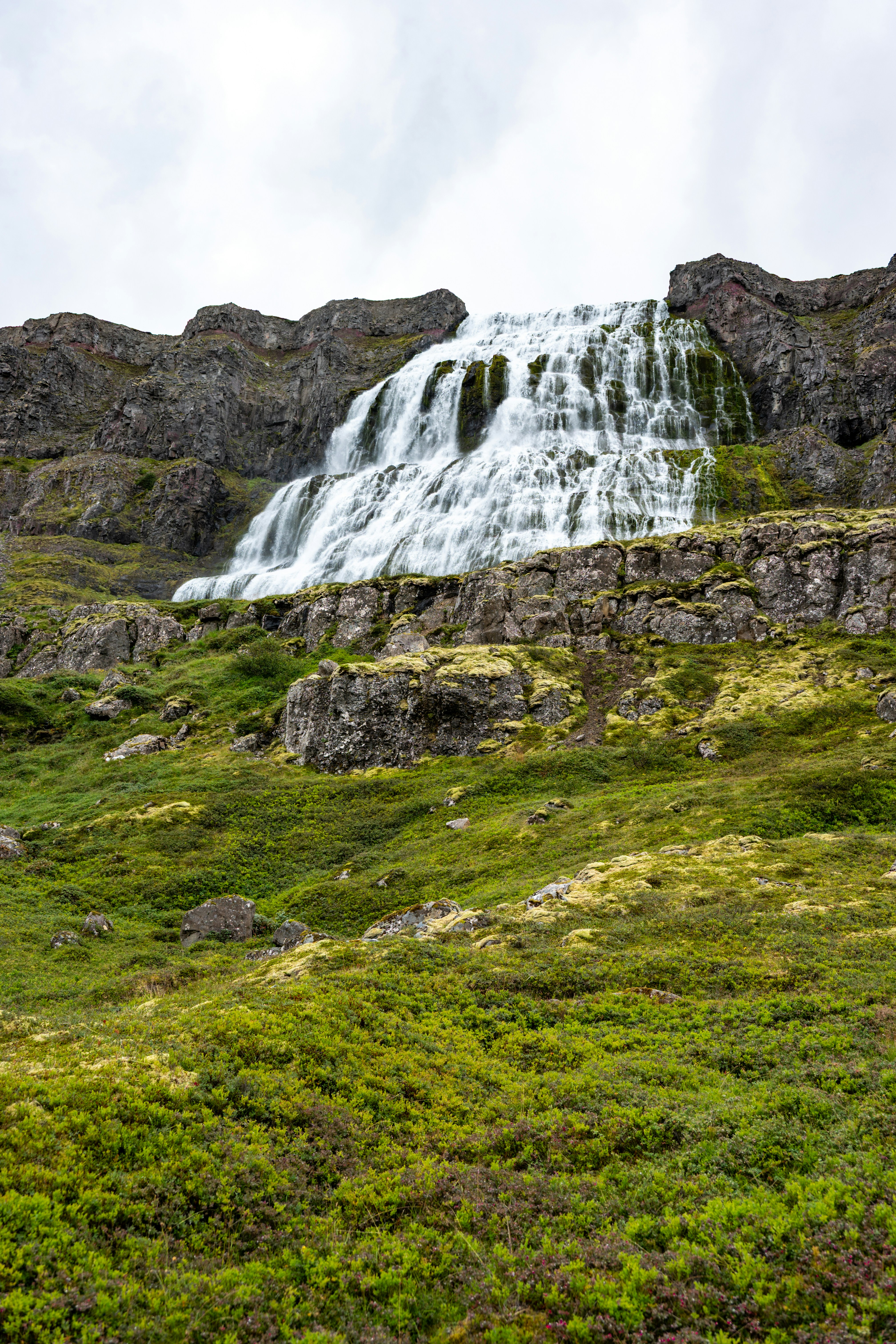 Photo by justmejuliee