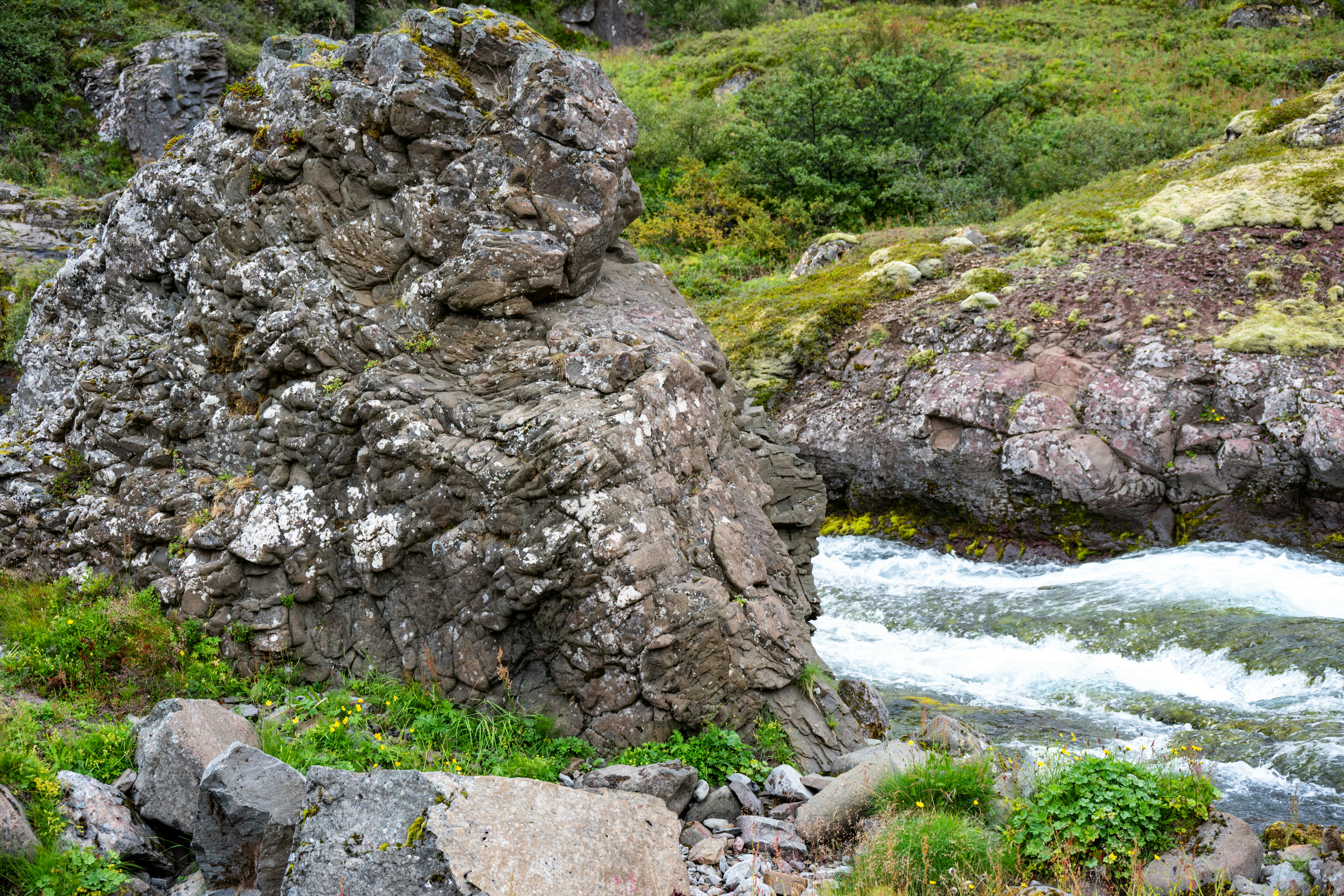 Photo by justmejuliee