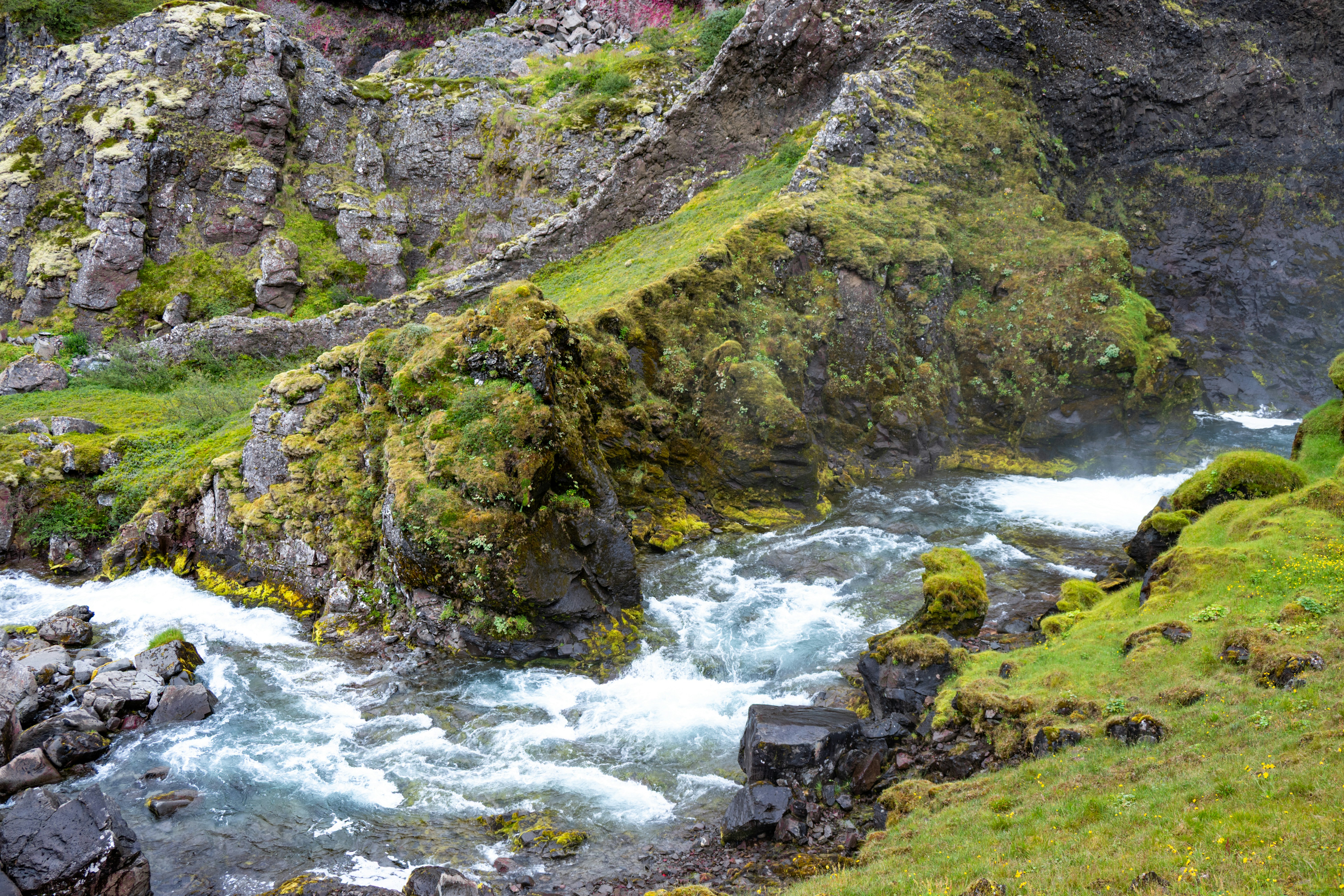 Photo by justmejuliee