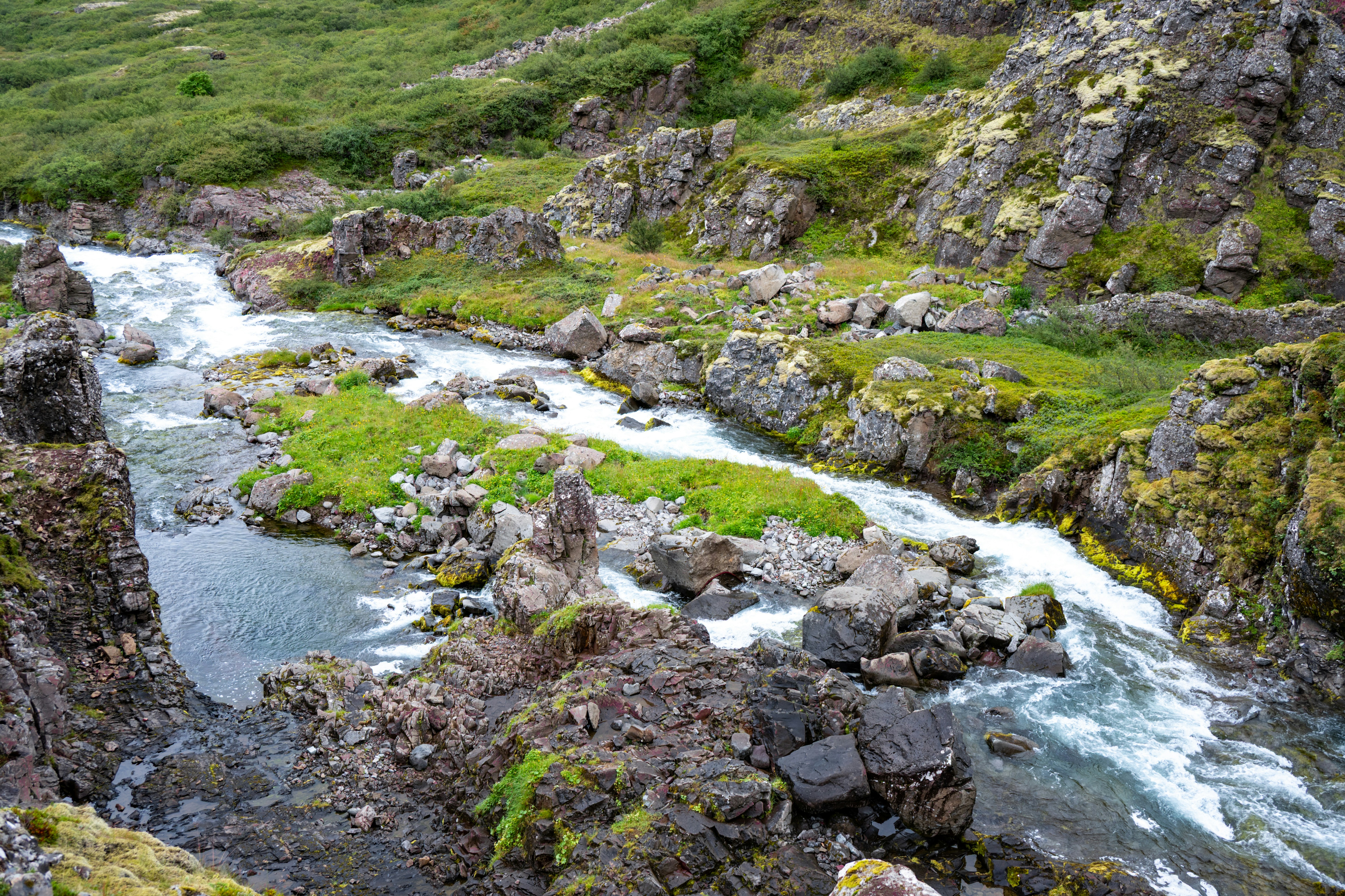 Photo by justmejuliee