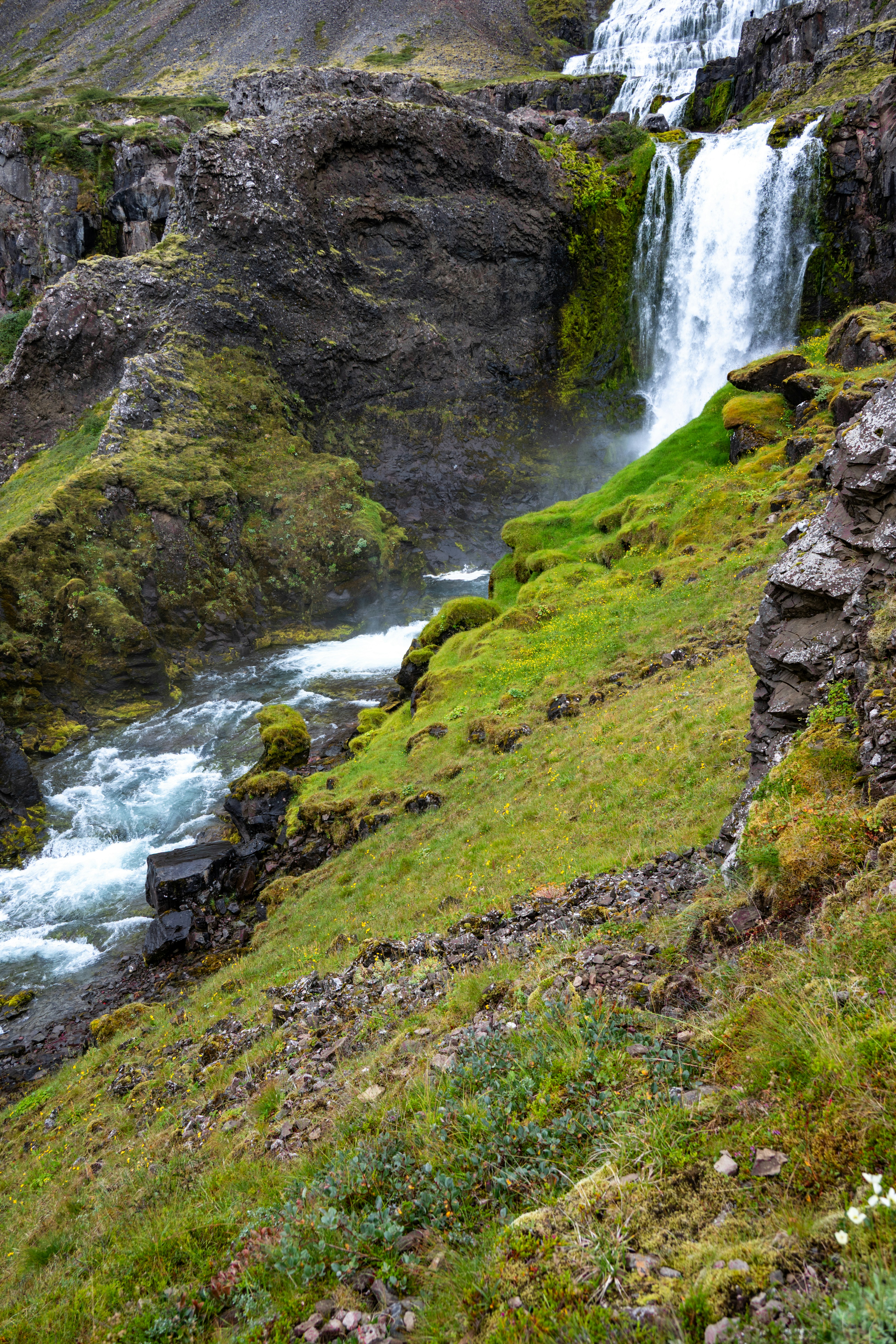 Photo by justmejuliee