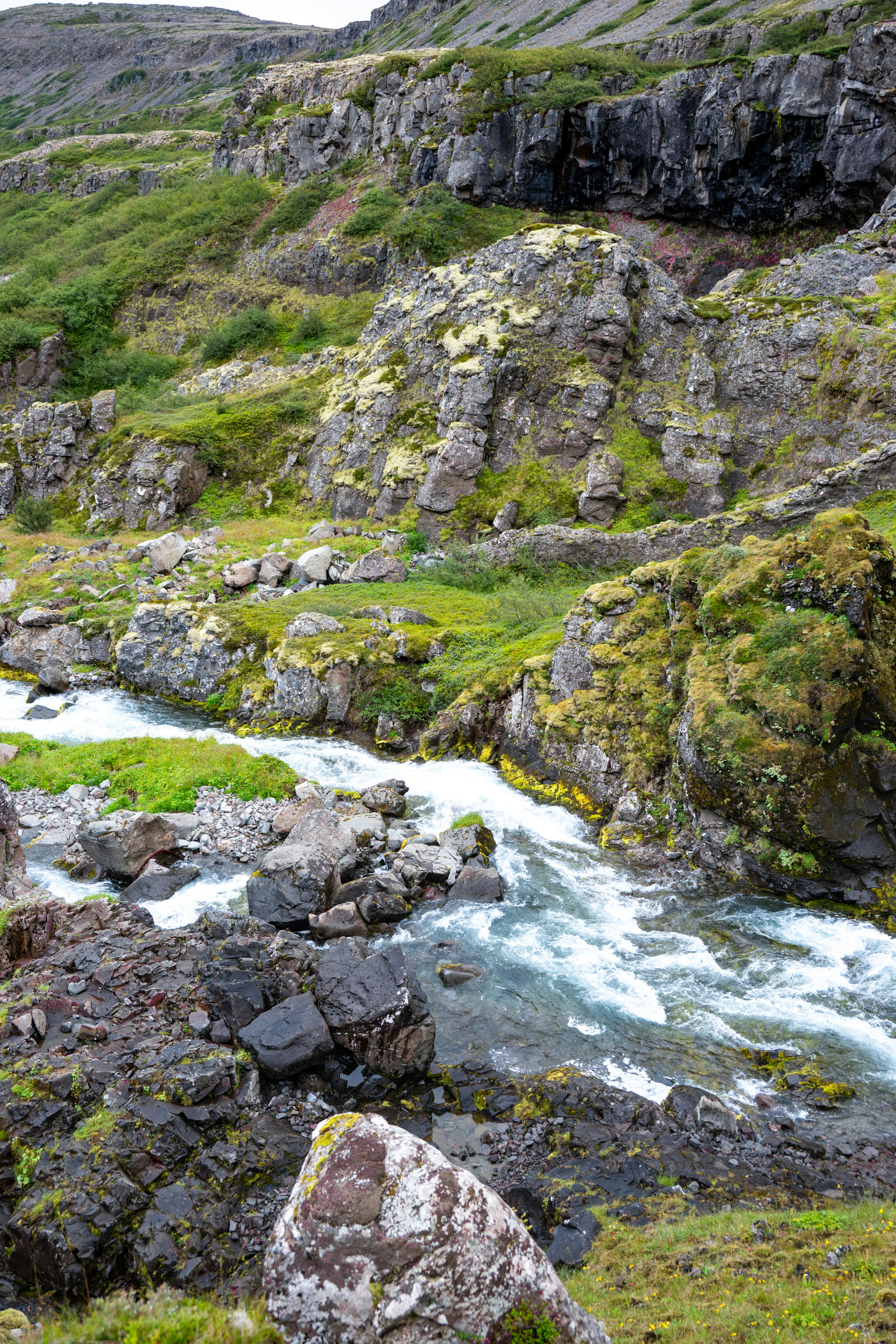 Photo by justmejuliee