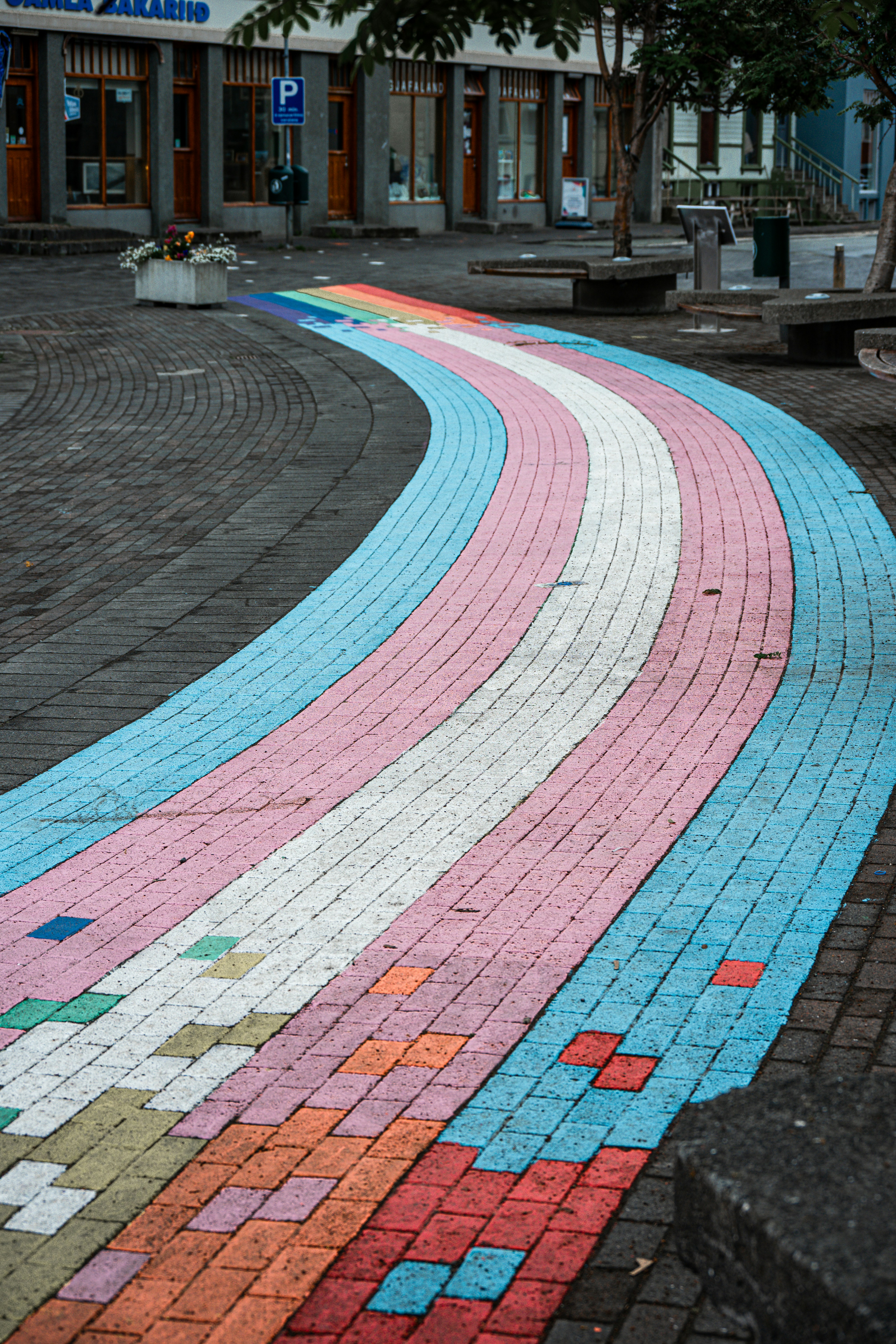 A colorful pathway painted with transgender pride flag colors