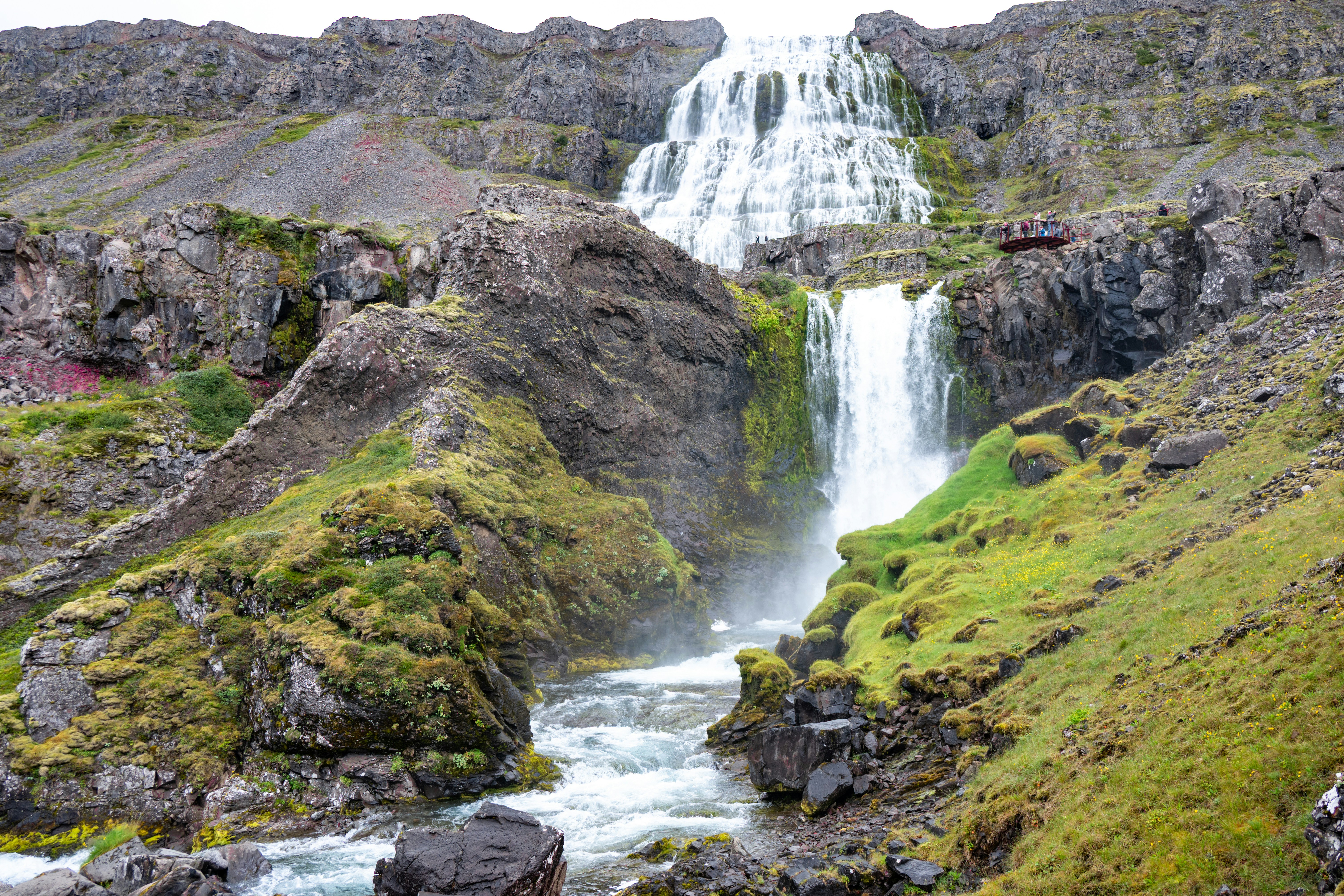 Photo by justmejuliee