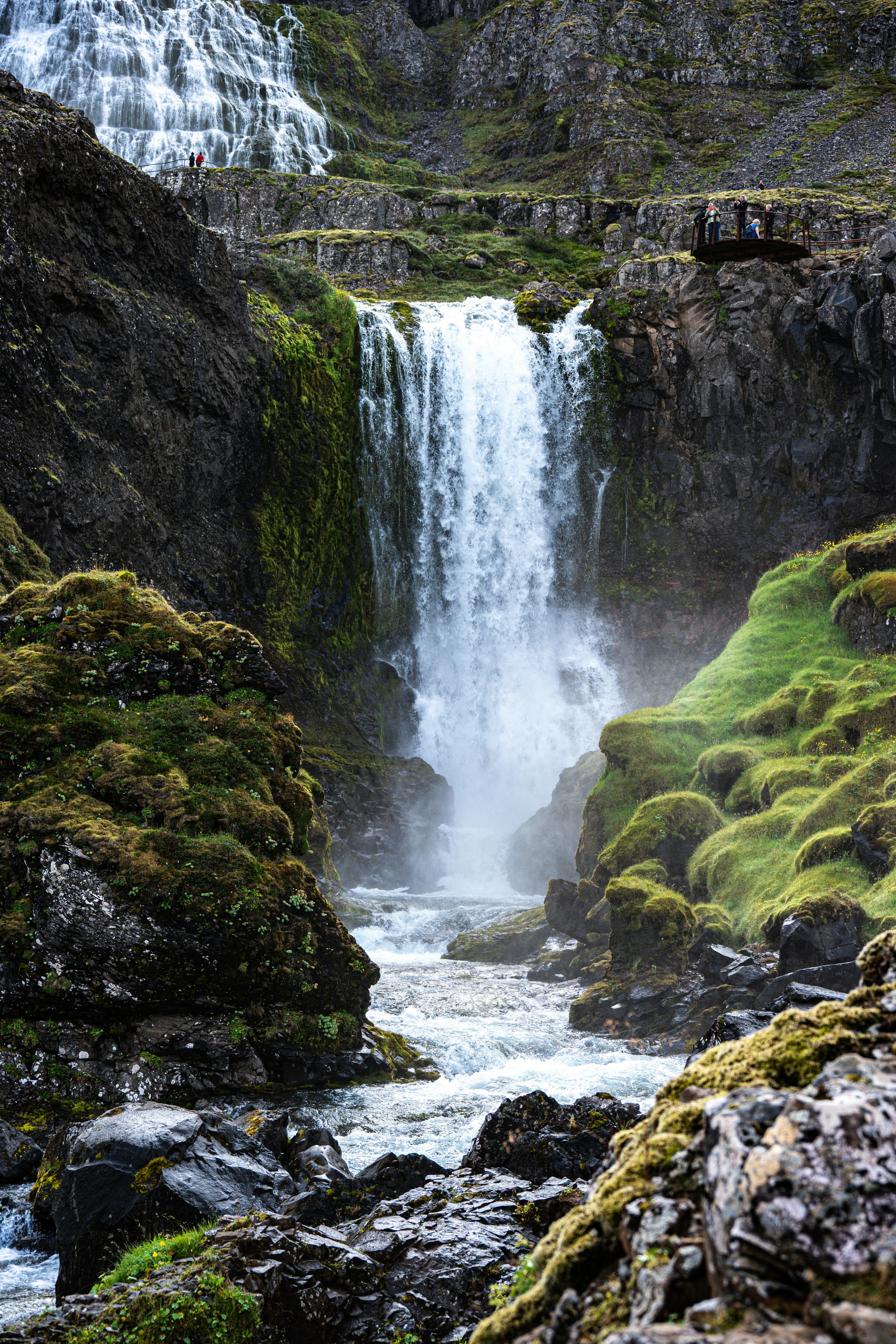 Photo by justmejuliee