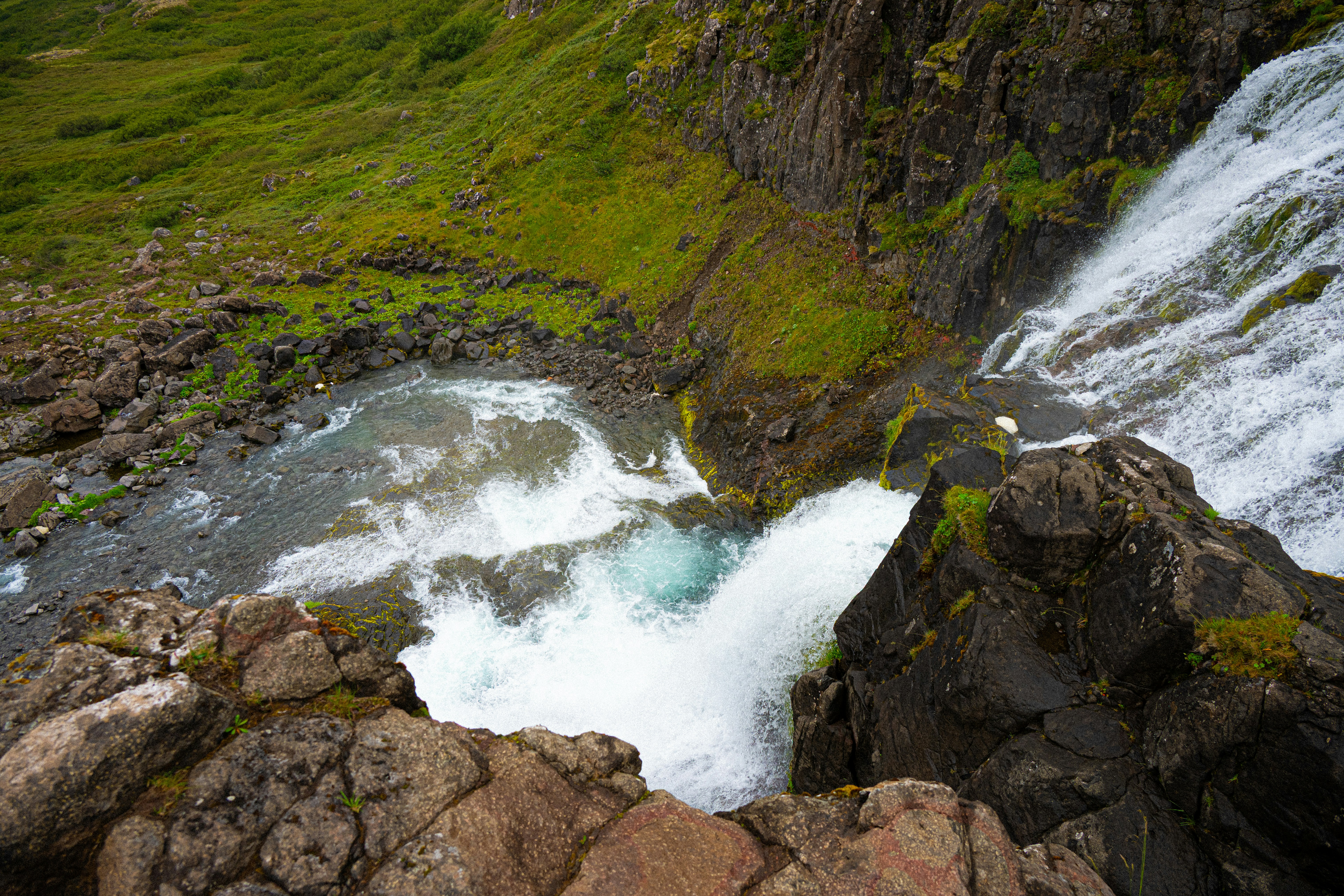 Photo by justmejuliee