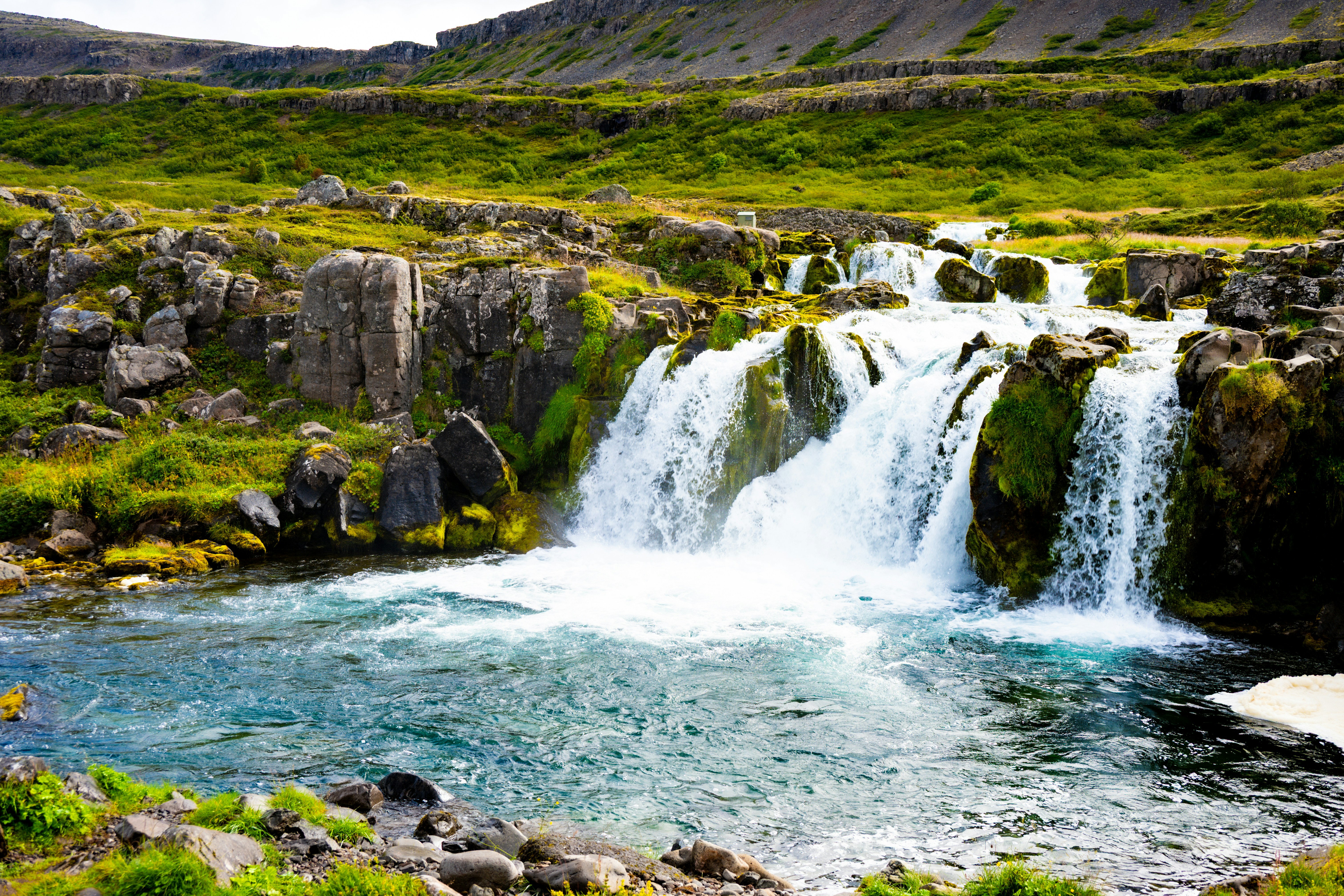 Photo by justmejuliee