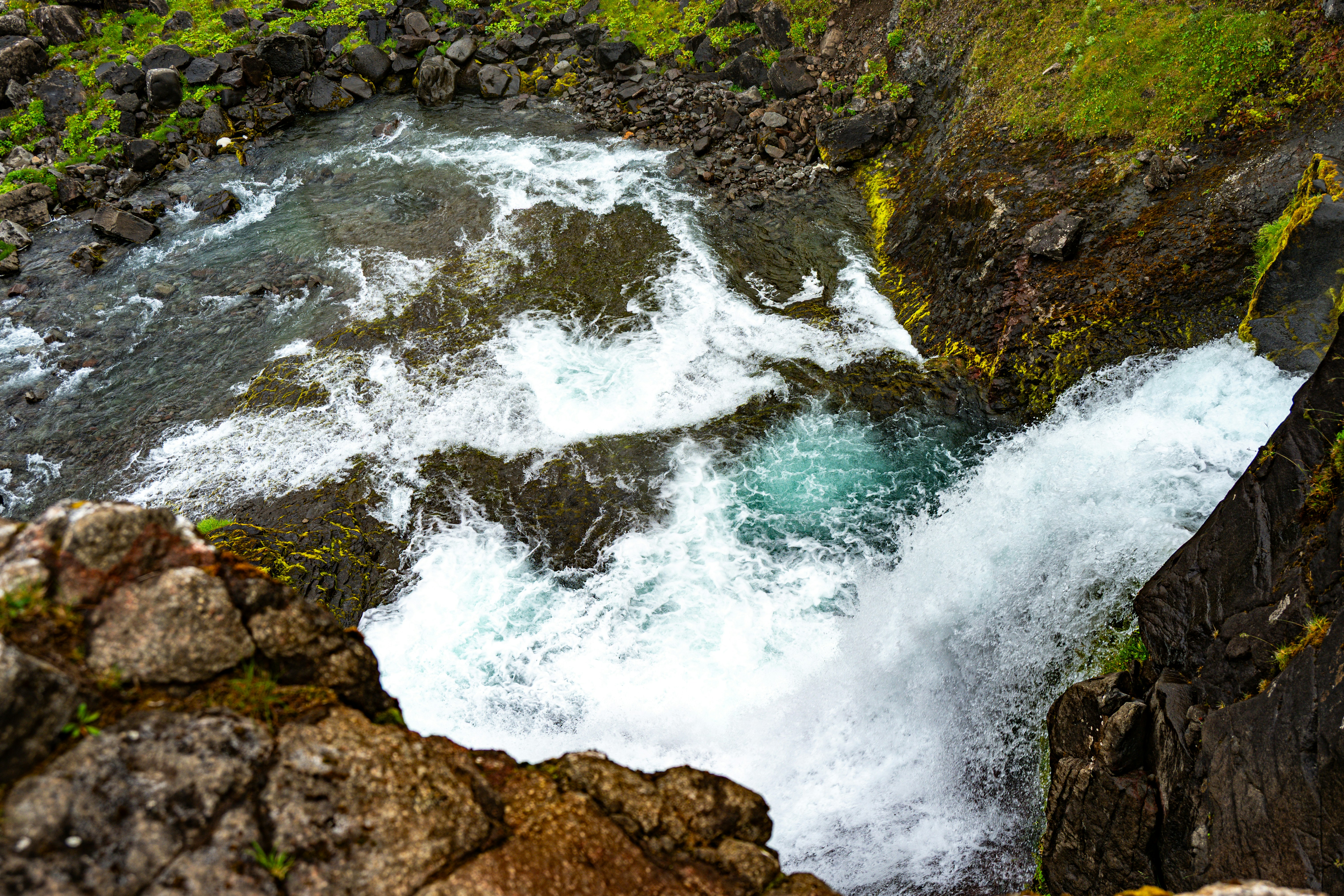 Photo by justmejuliee