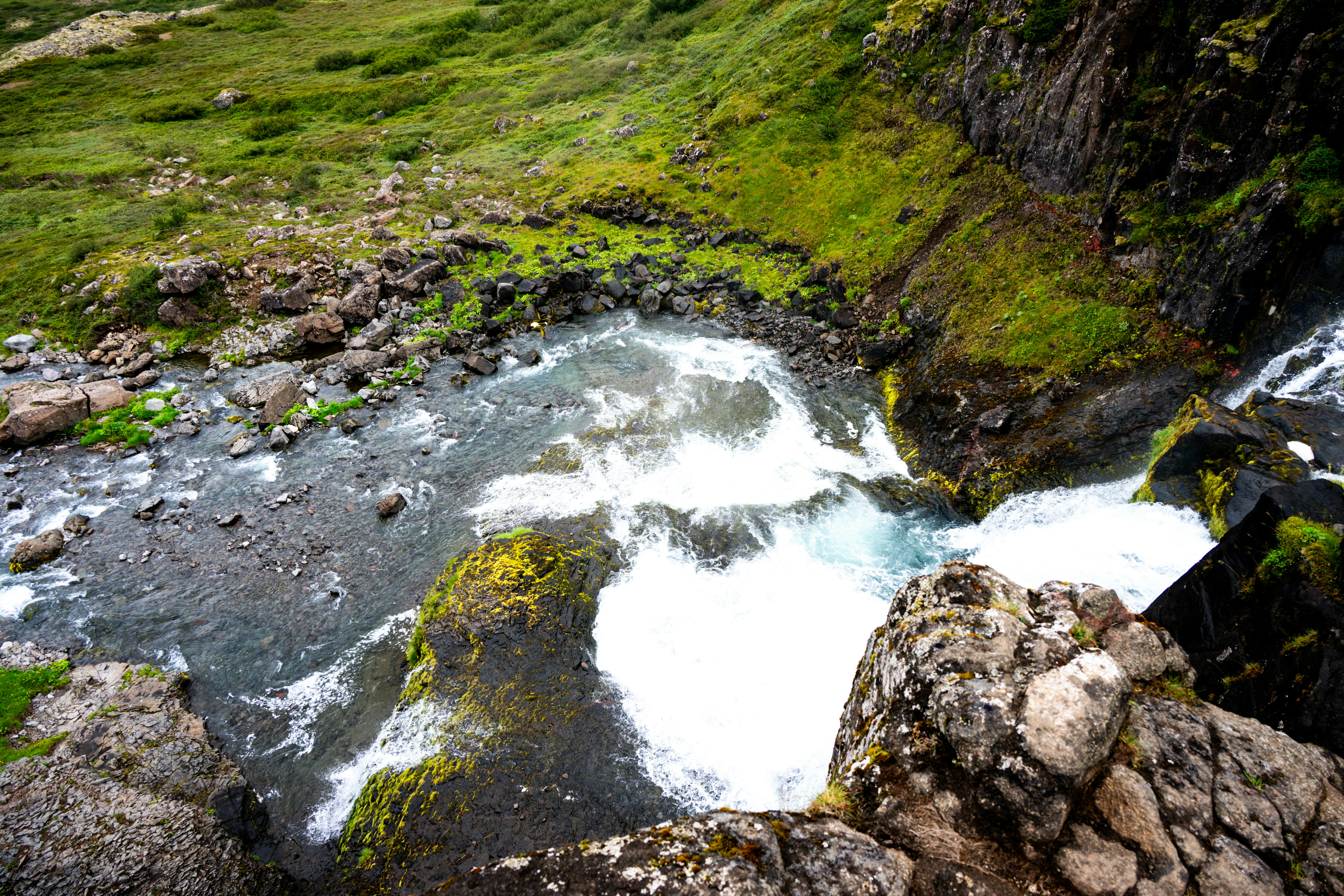 Photo by justmejuliee