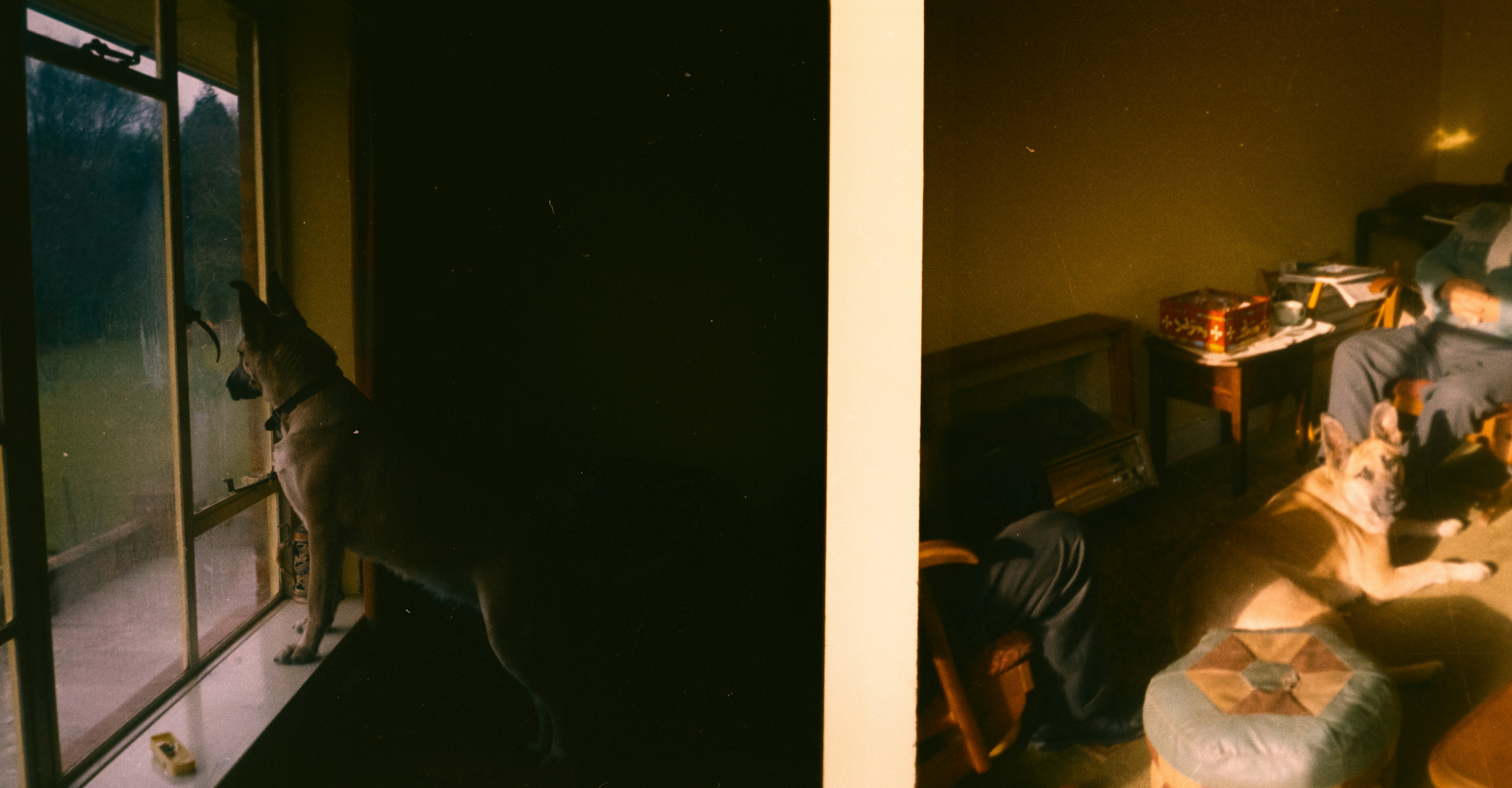 Photo by anniespratt