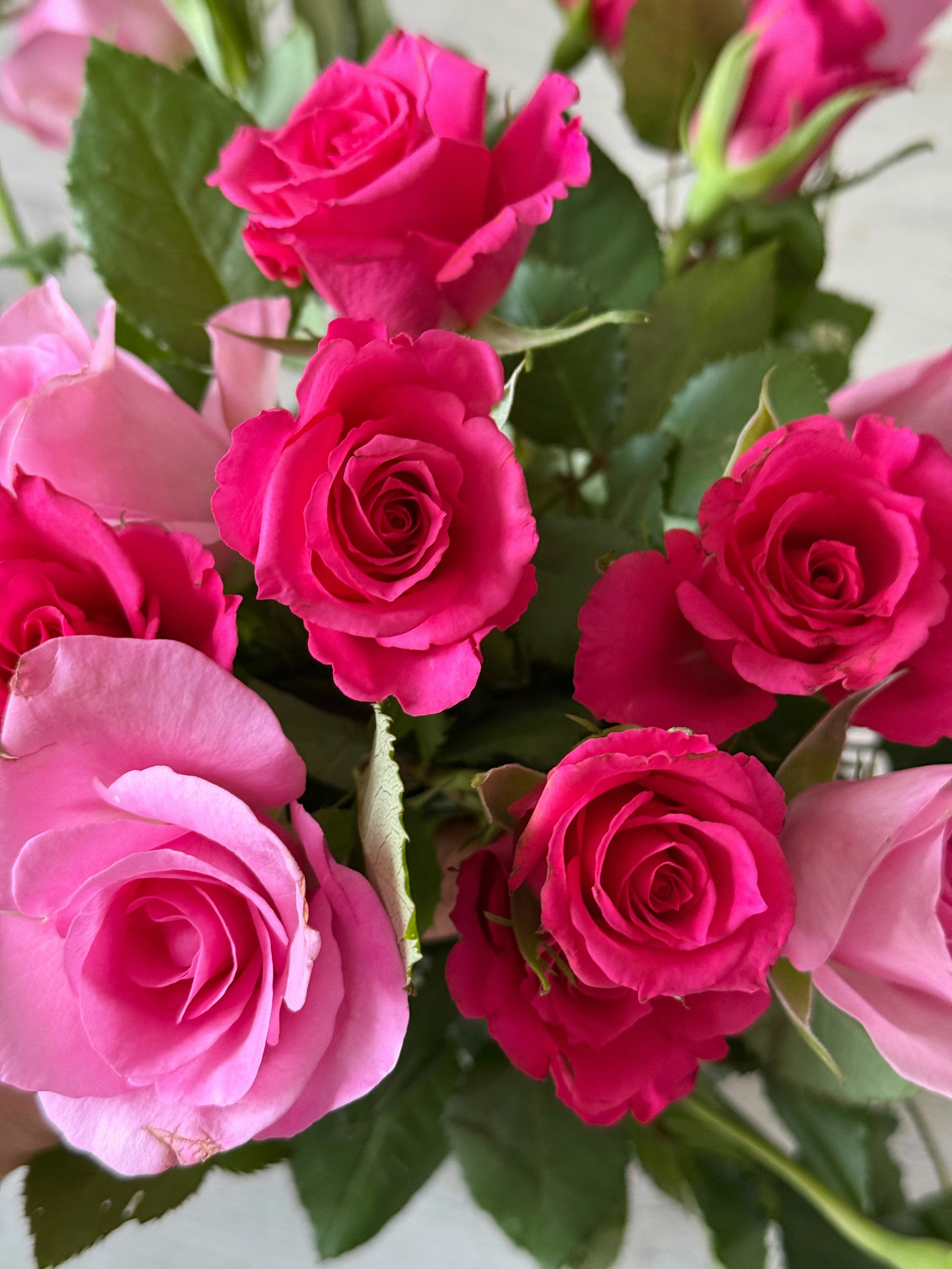 Photo by photosfromhome