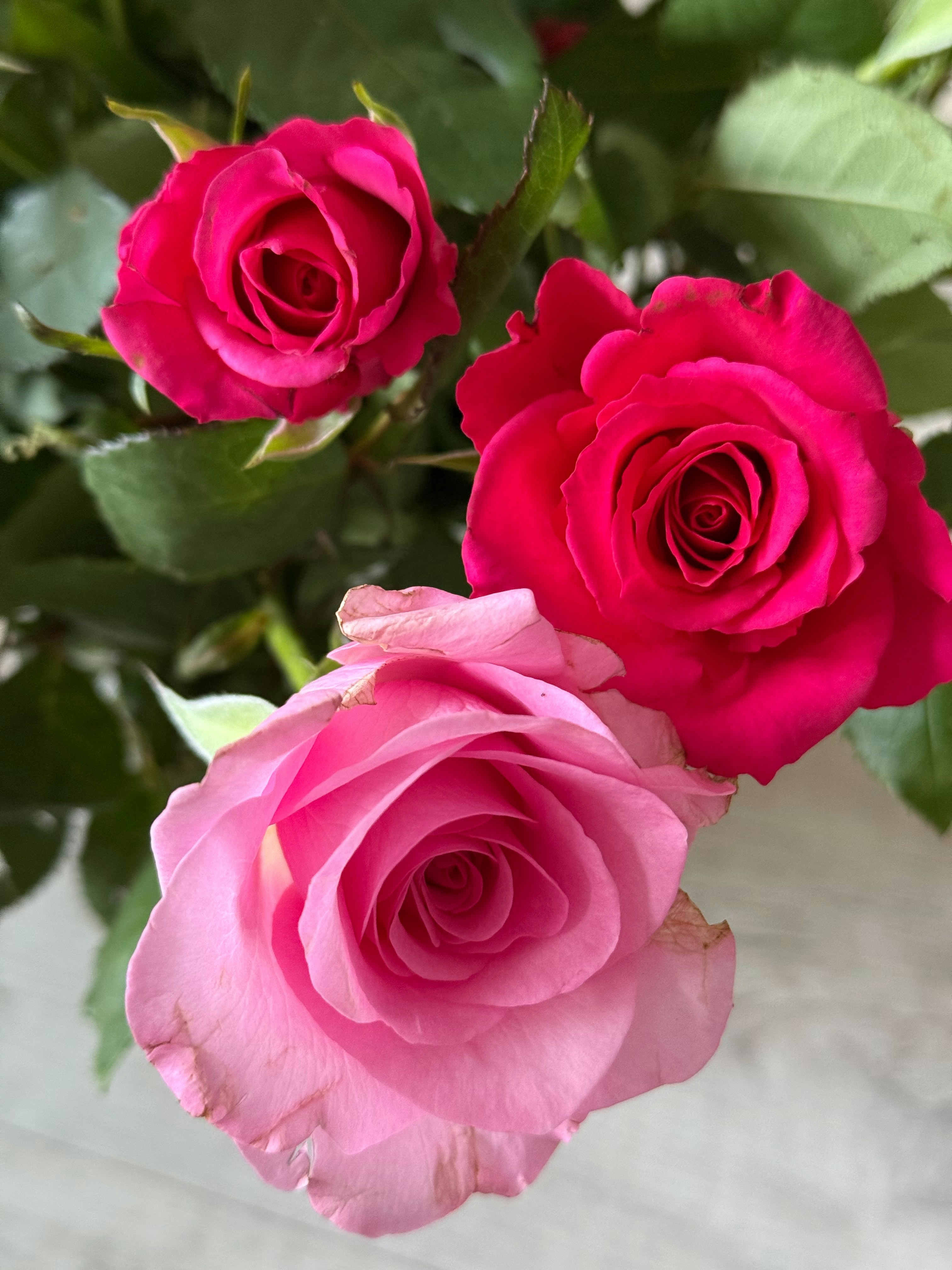 Photo by photosfromhome