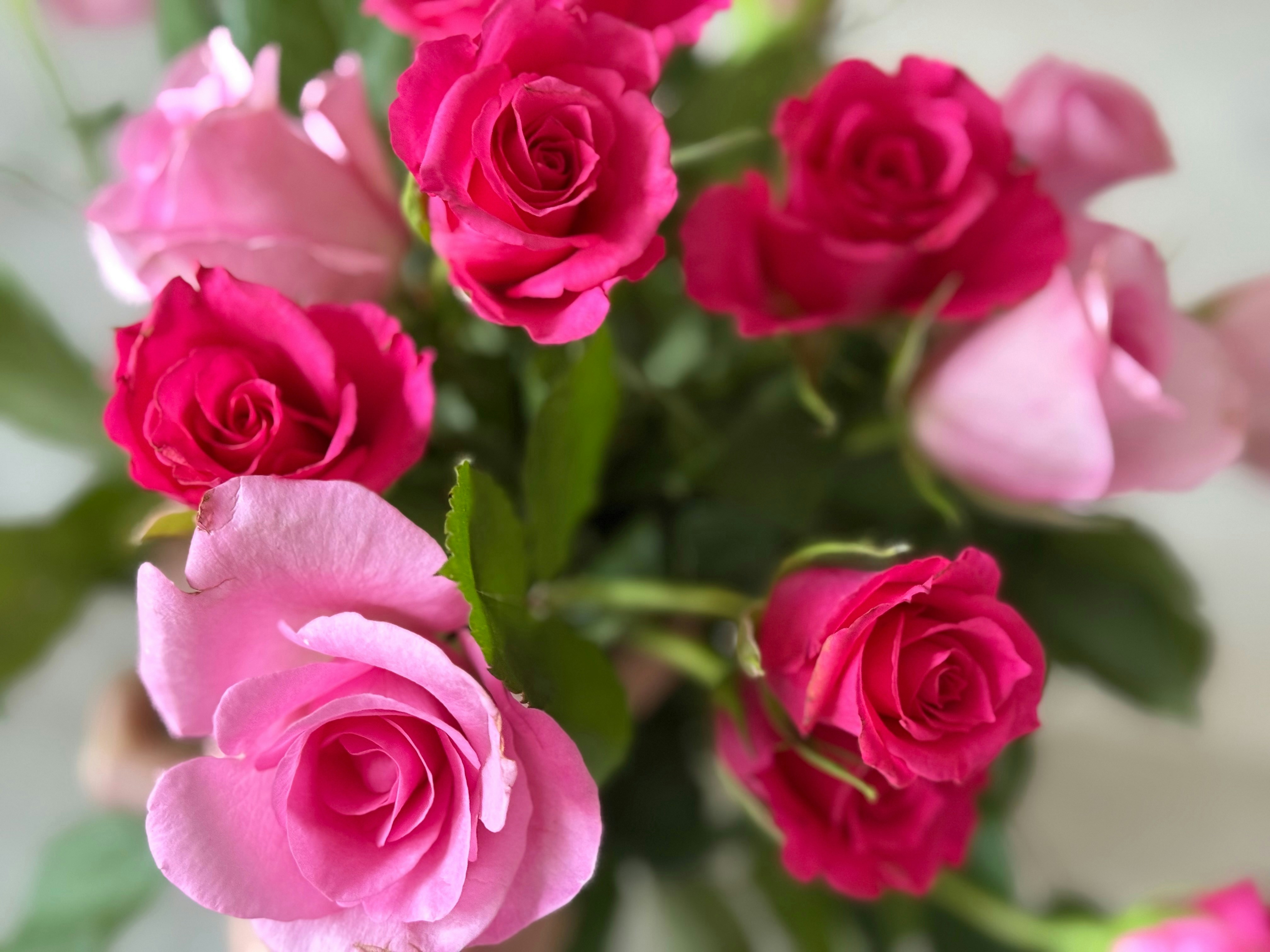 Photo by photosfromhome