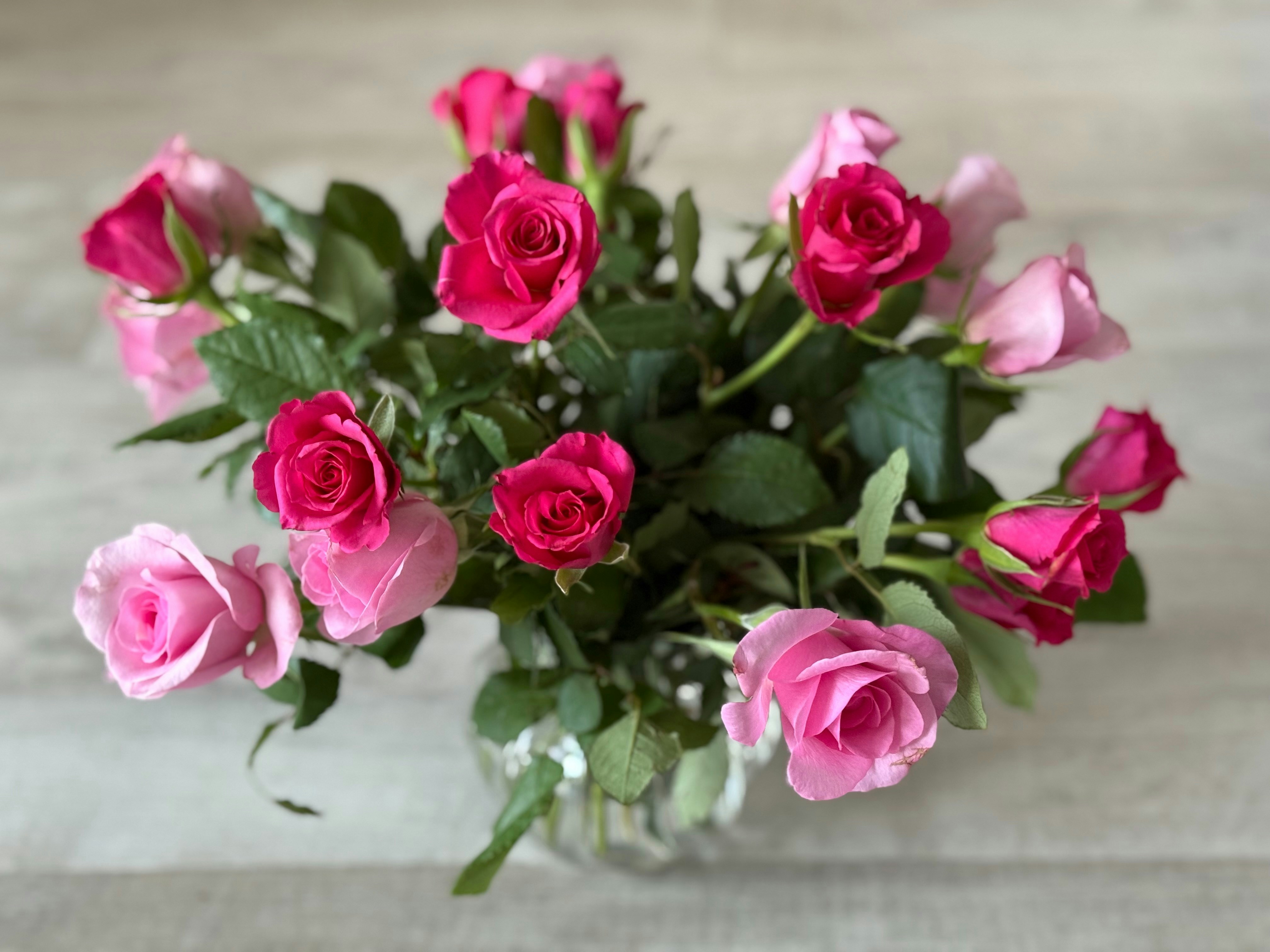 Photo by photosfromhome