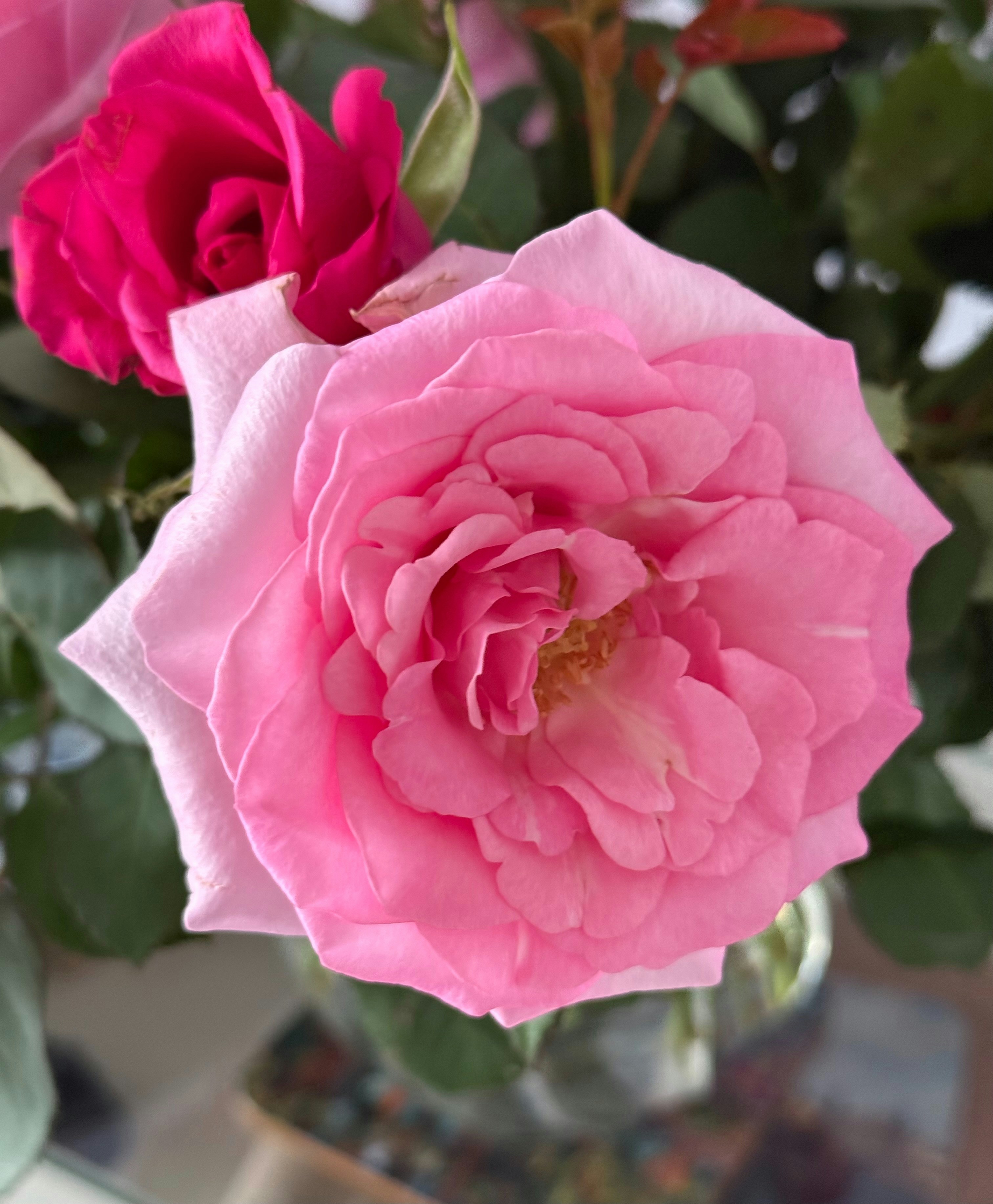 Photo by photosfromhome