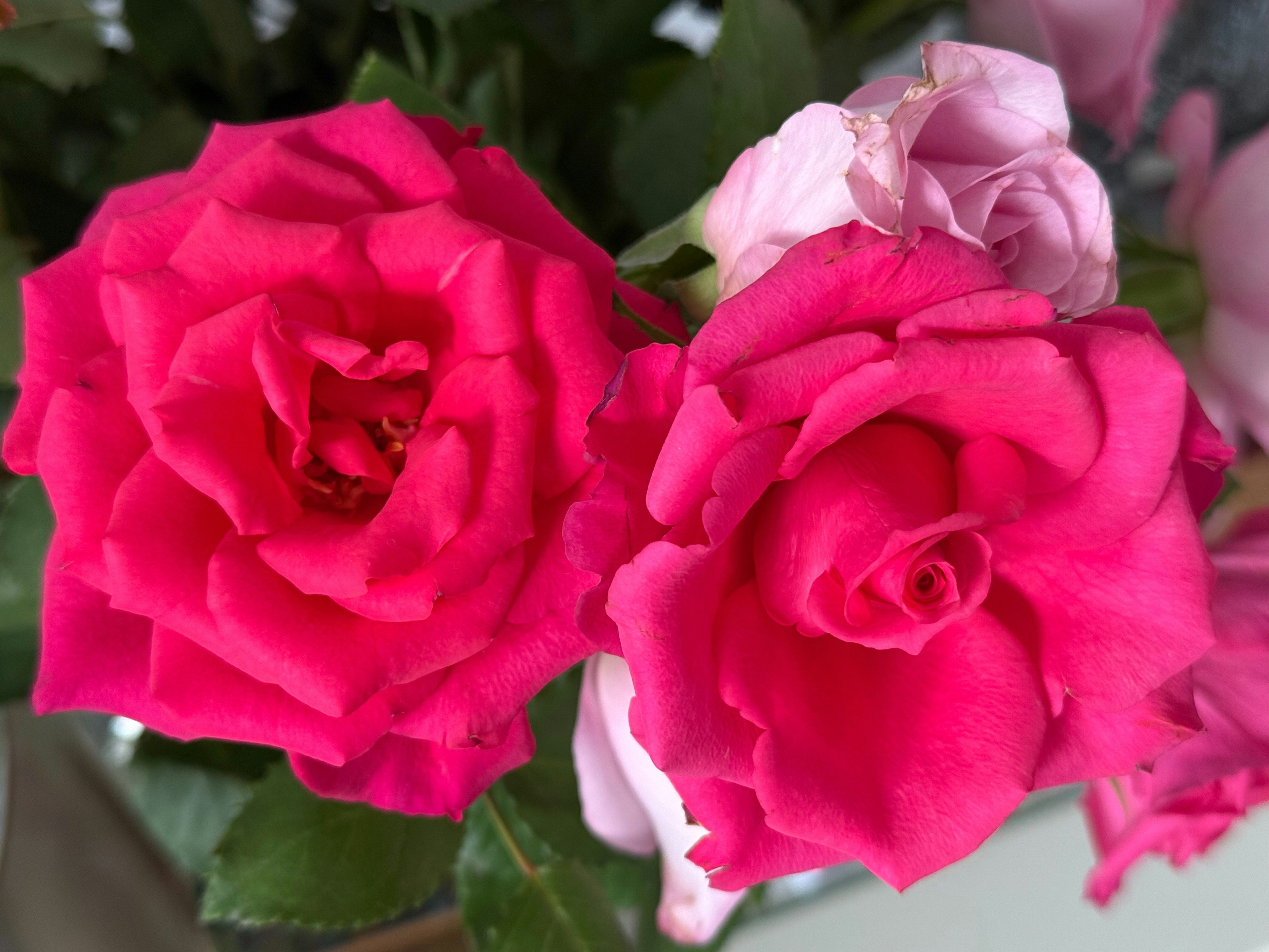 Photo by photosfromhome