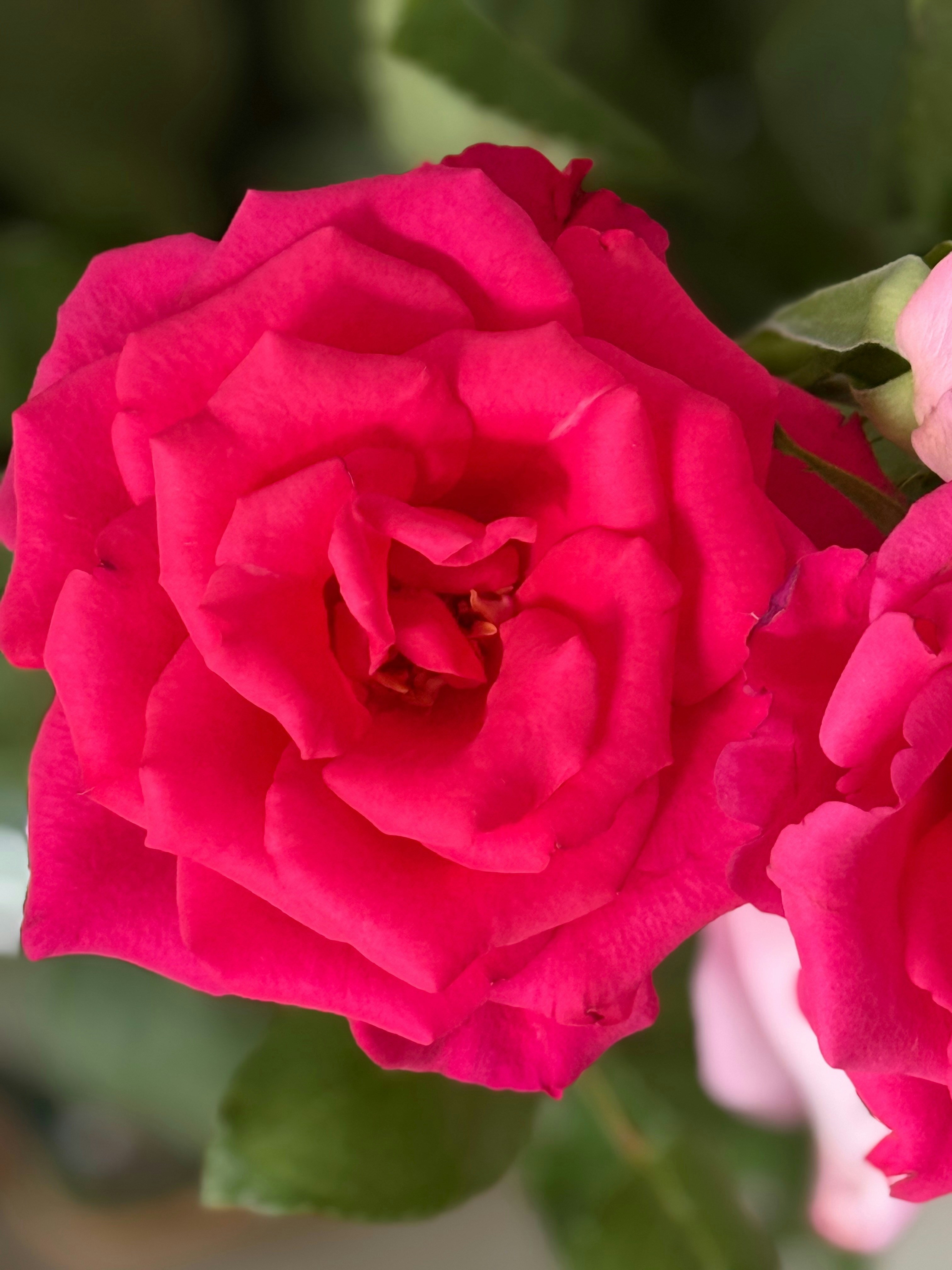 Photo by photosfromhome