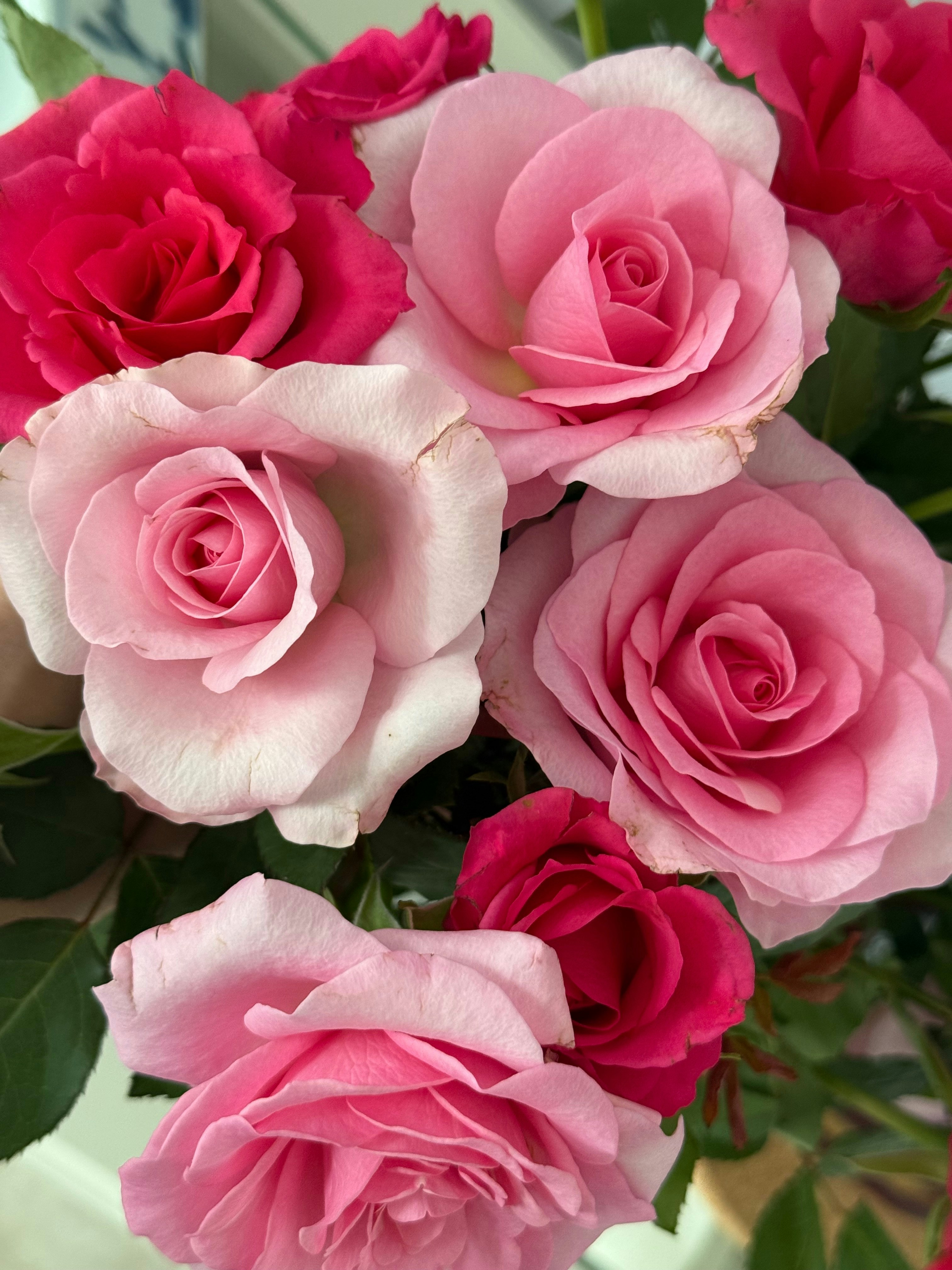 Photo by photosfromhome