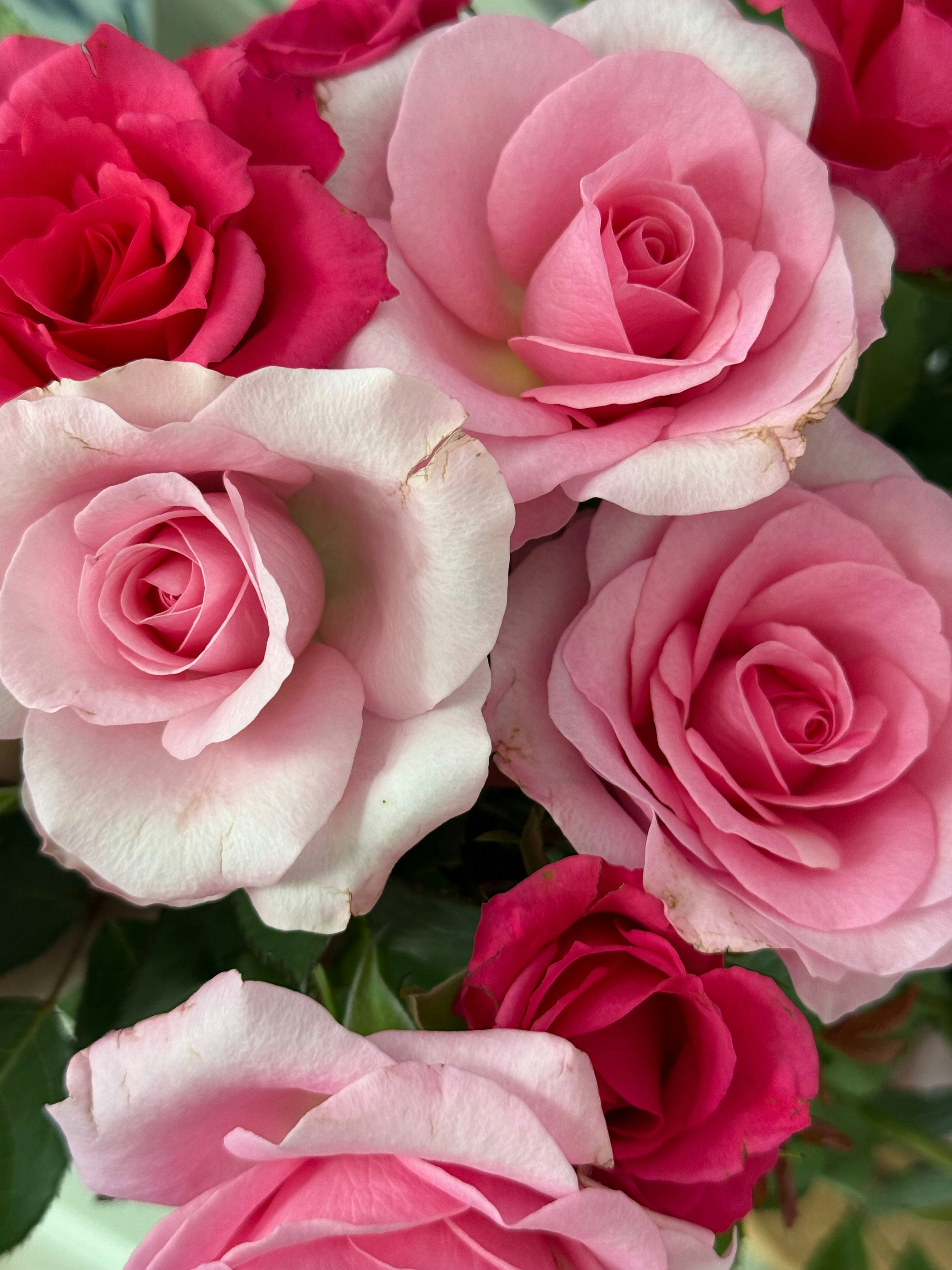 Photo by photosfromhome