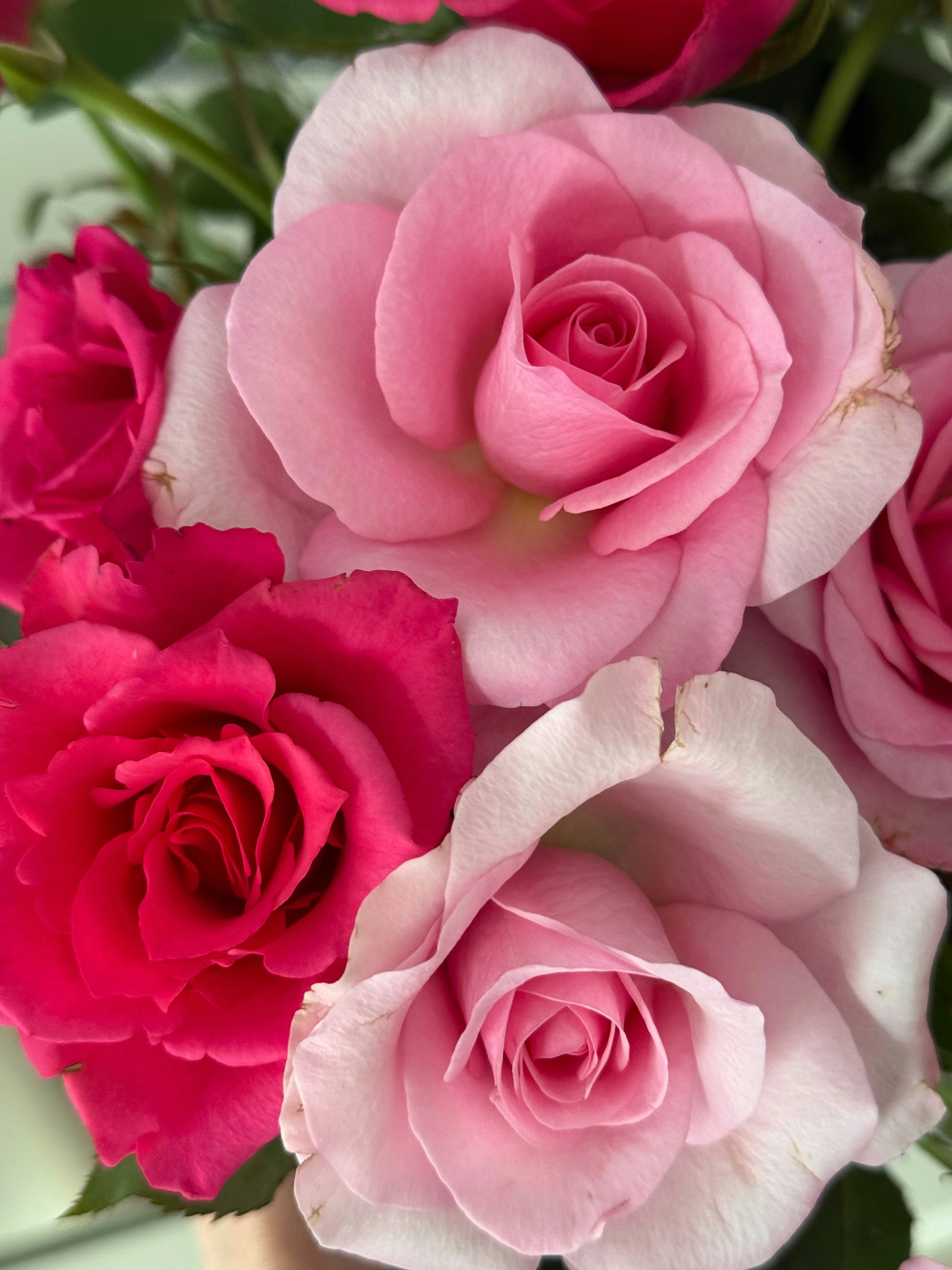 Photo by photosfromhome