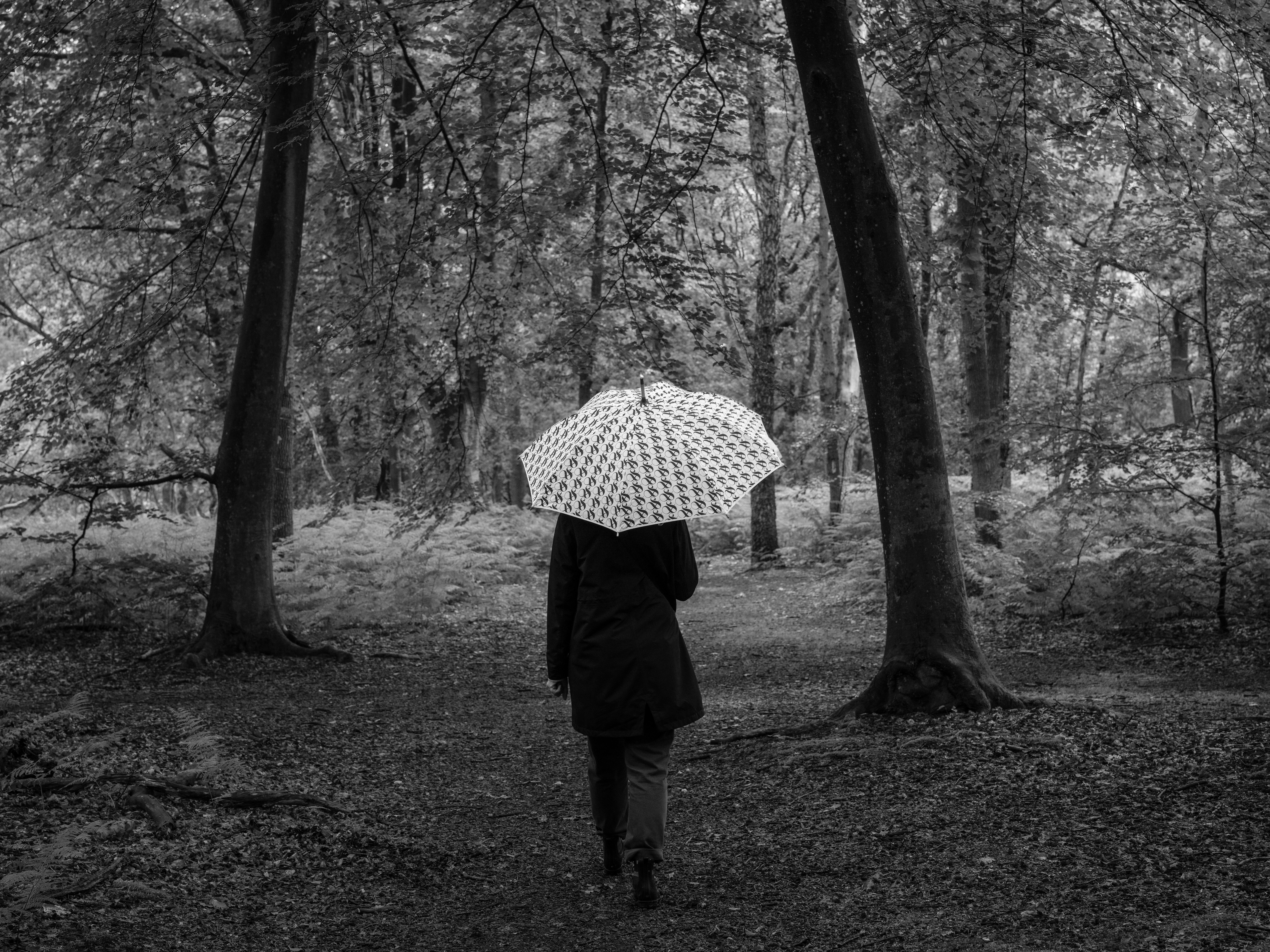 Photo by haberdoedas