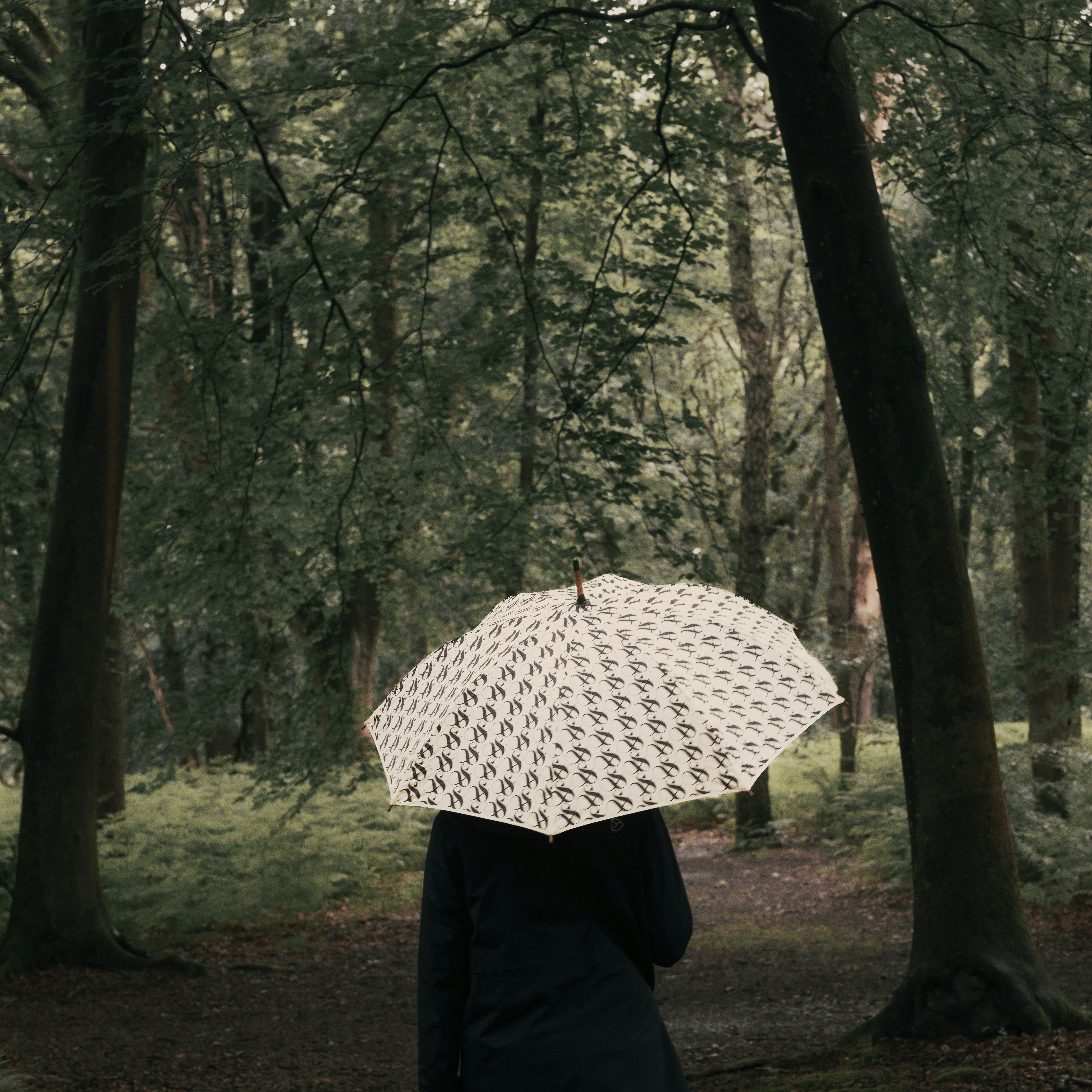 Photo by haberdoedas