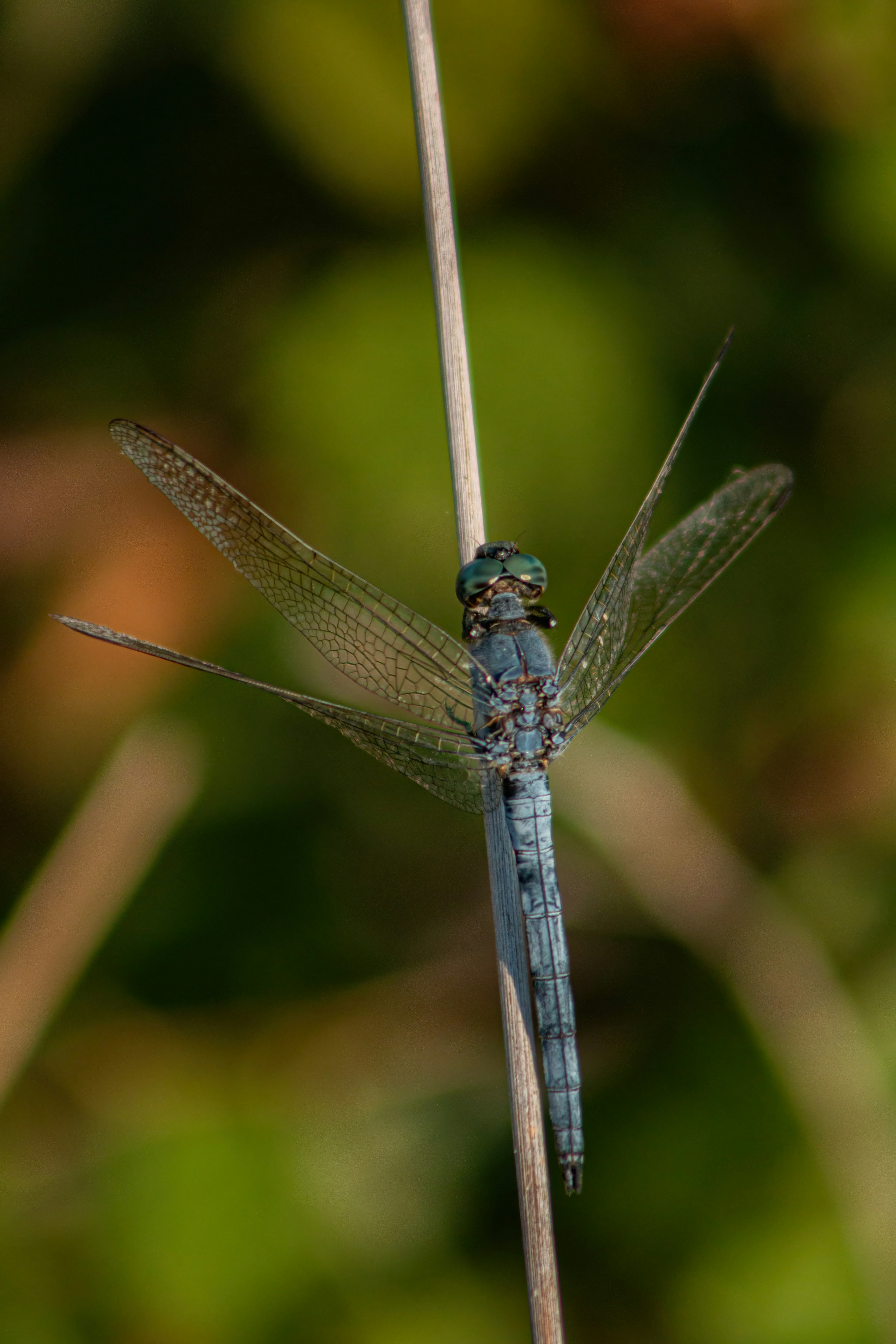 Photo by stepan_konev