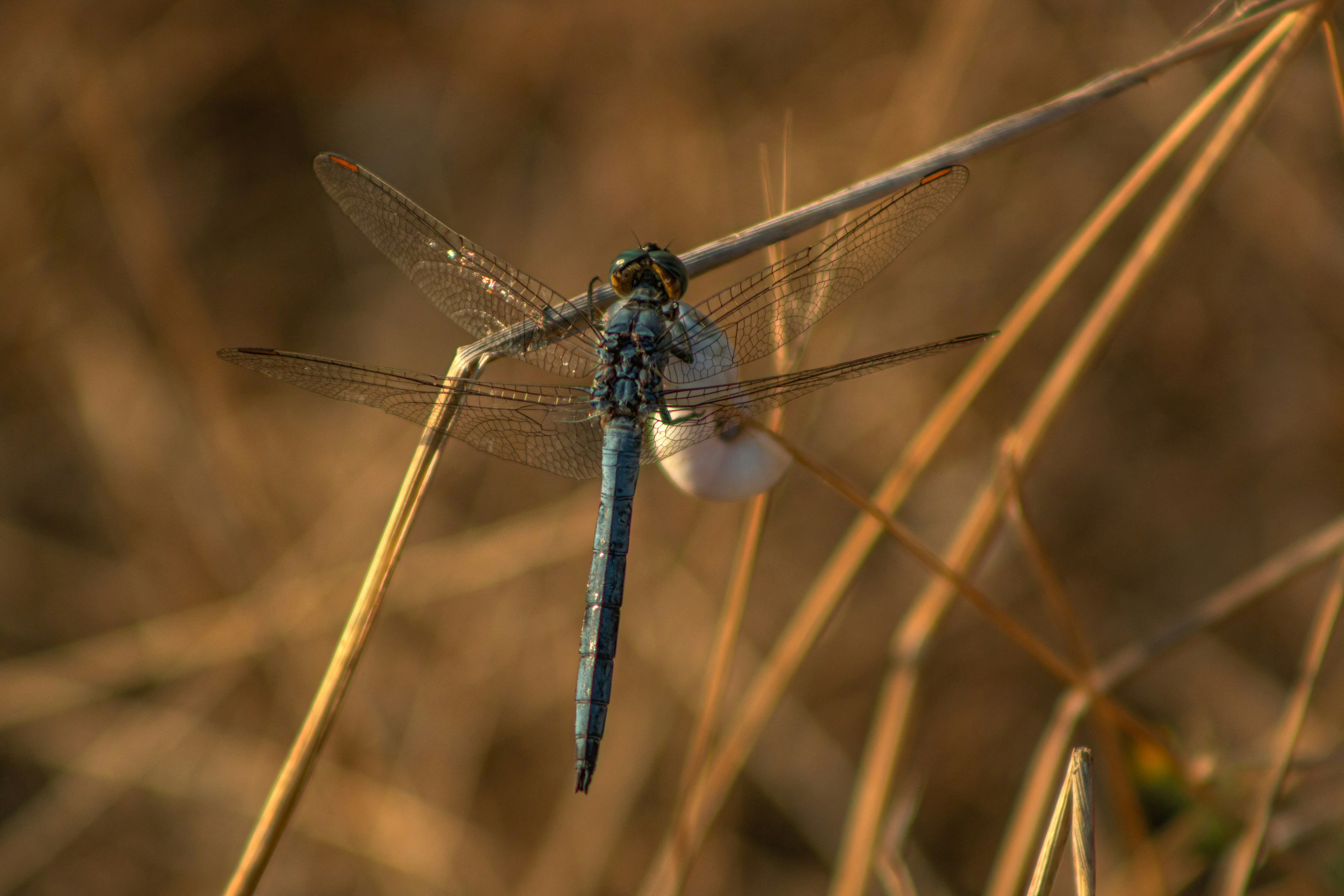 Photo by stepan_konev