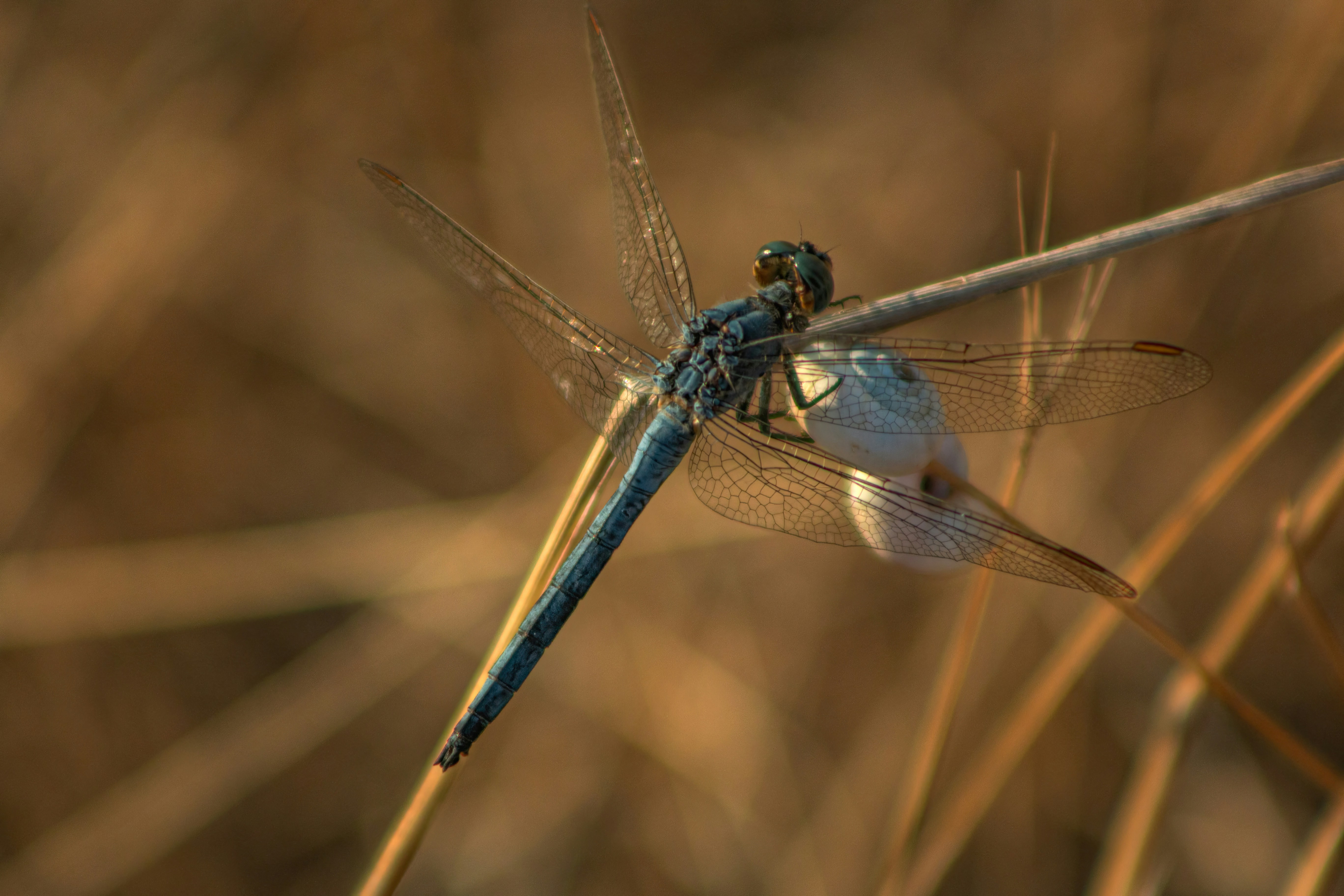 Photo by stepan_konev