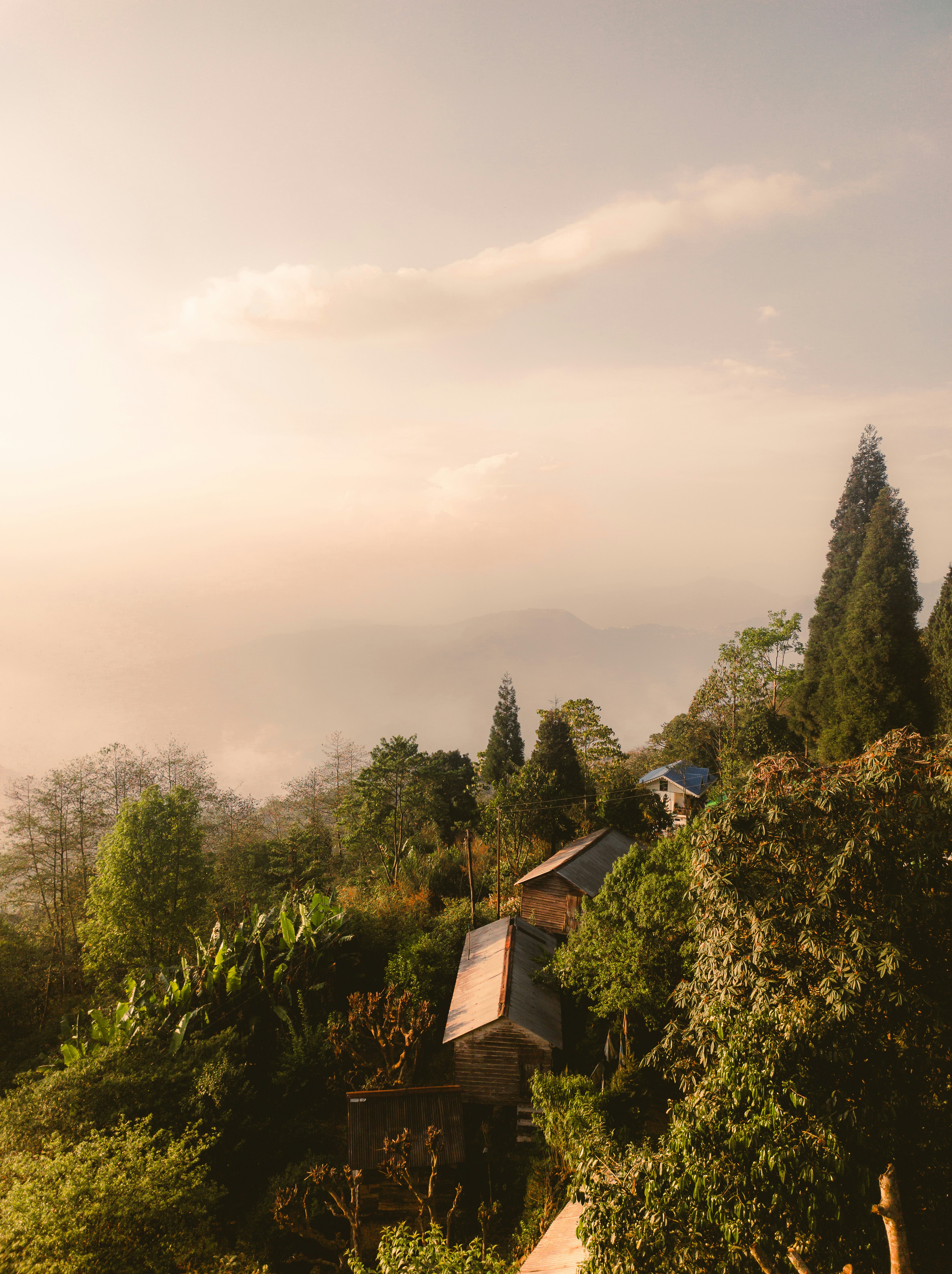 Photo by atharvad_jpeg