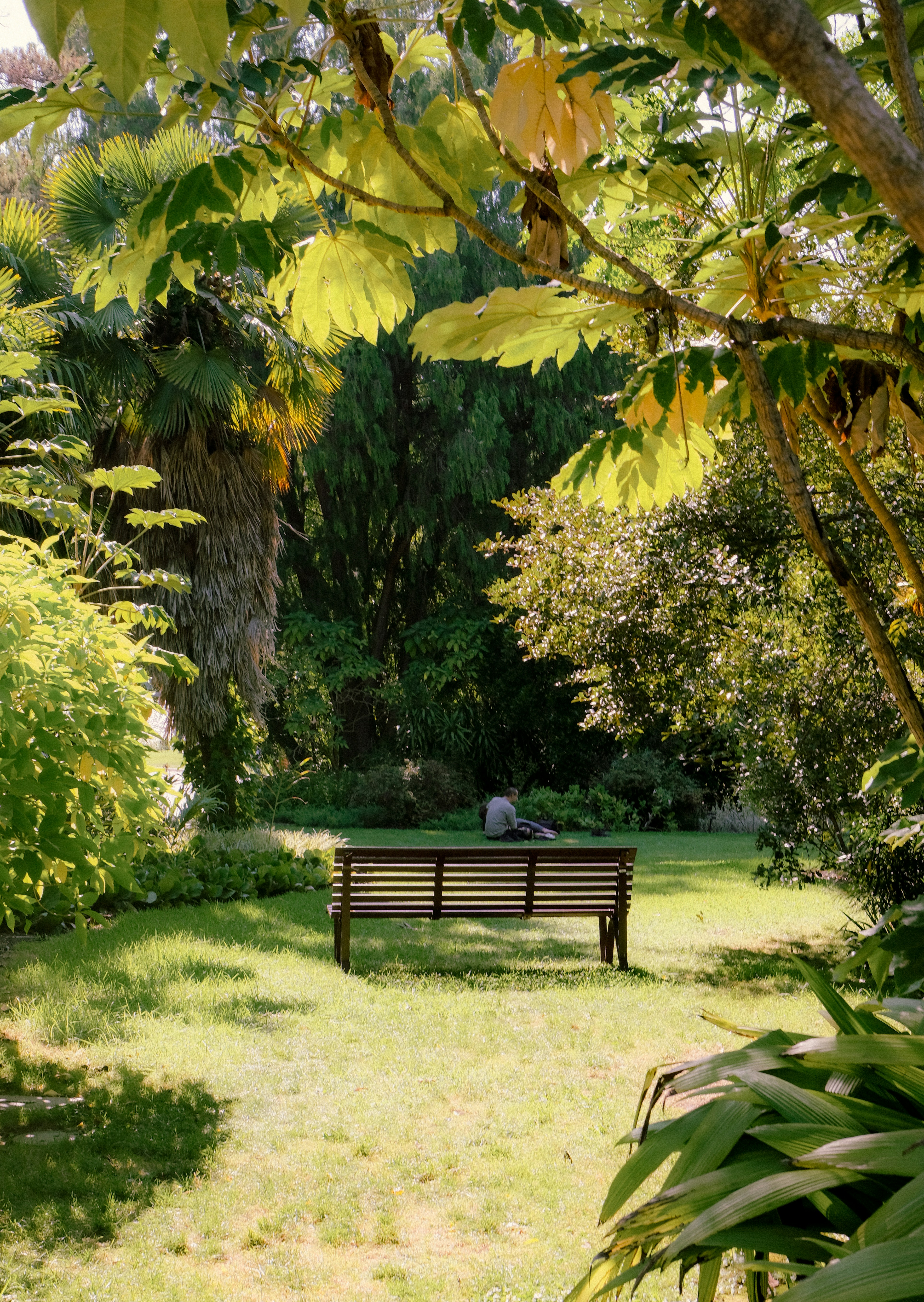 Photo by anniehatuanh