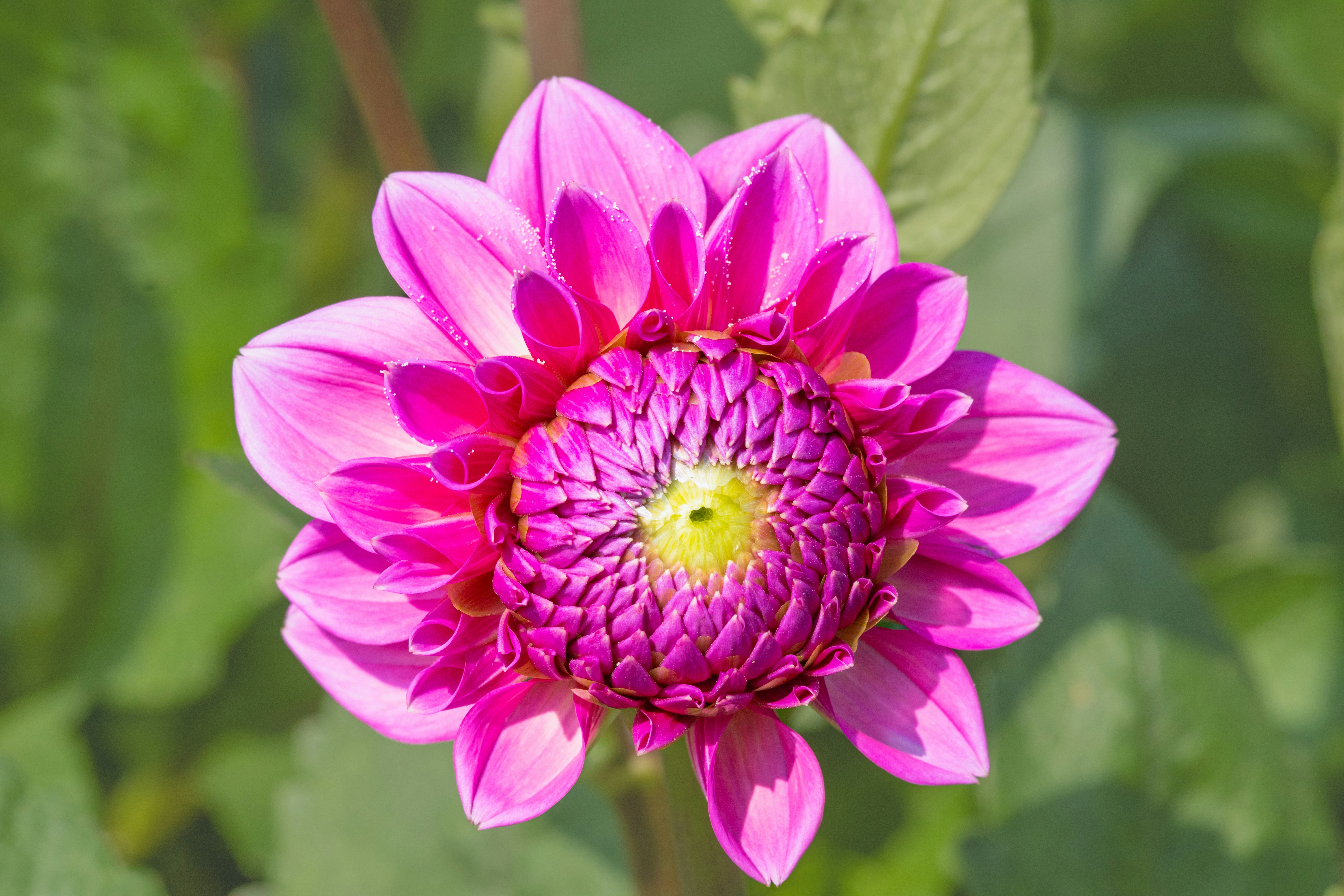 Photo by siegfriedpoepperl