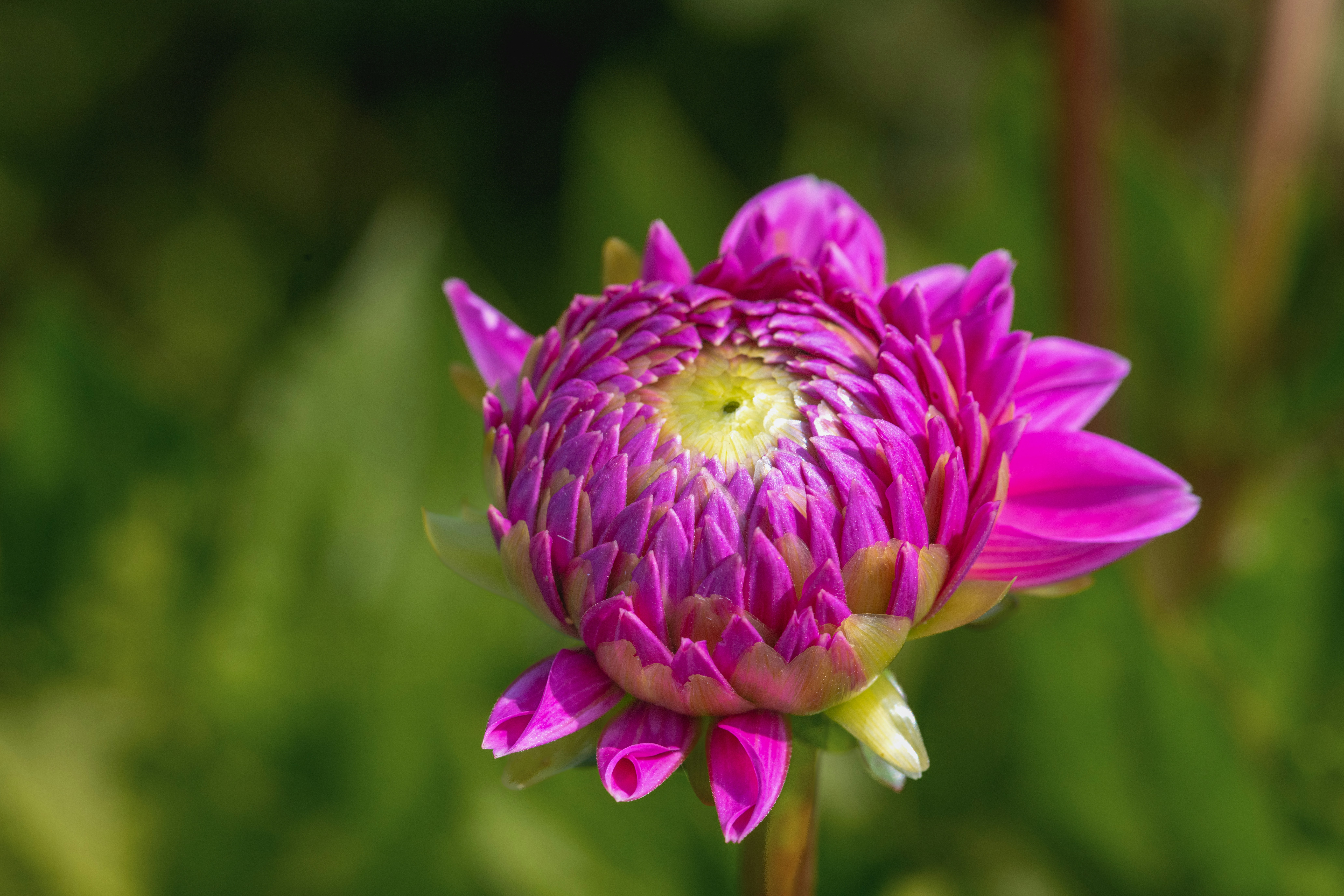 Photo by siegfriedpoepperl