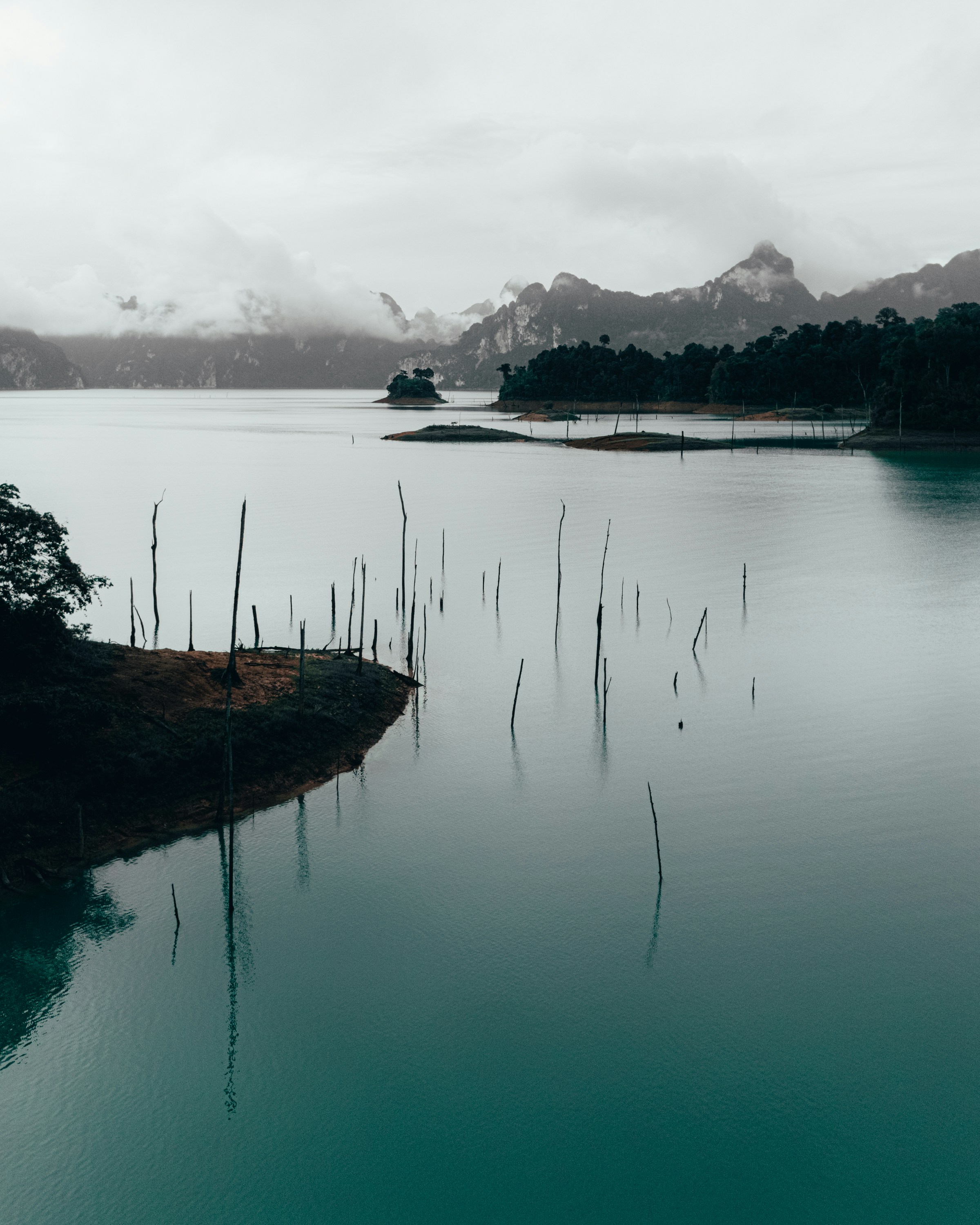 Calm turquoise water with dead trees and misty mountains