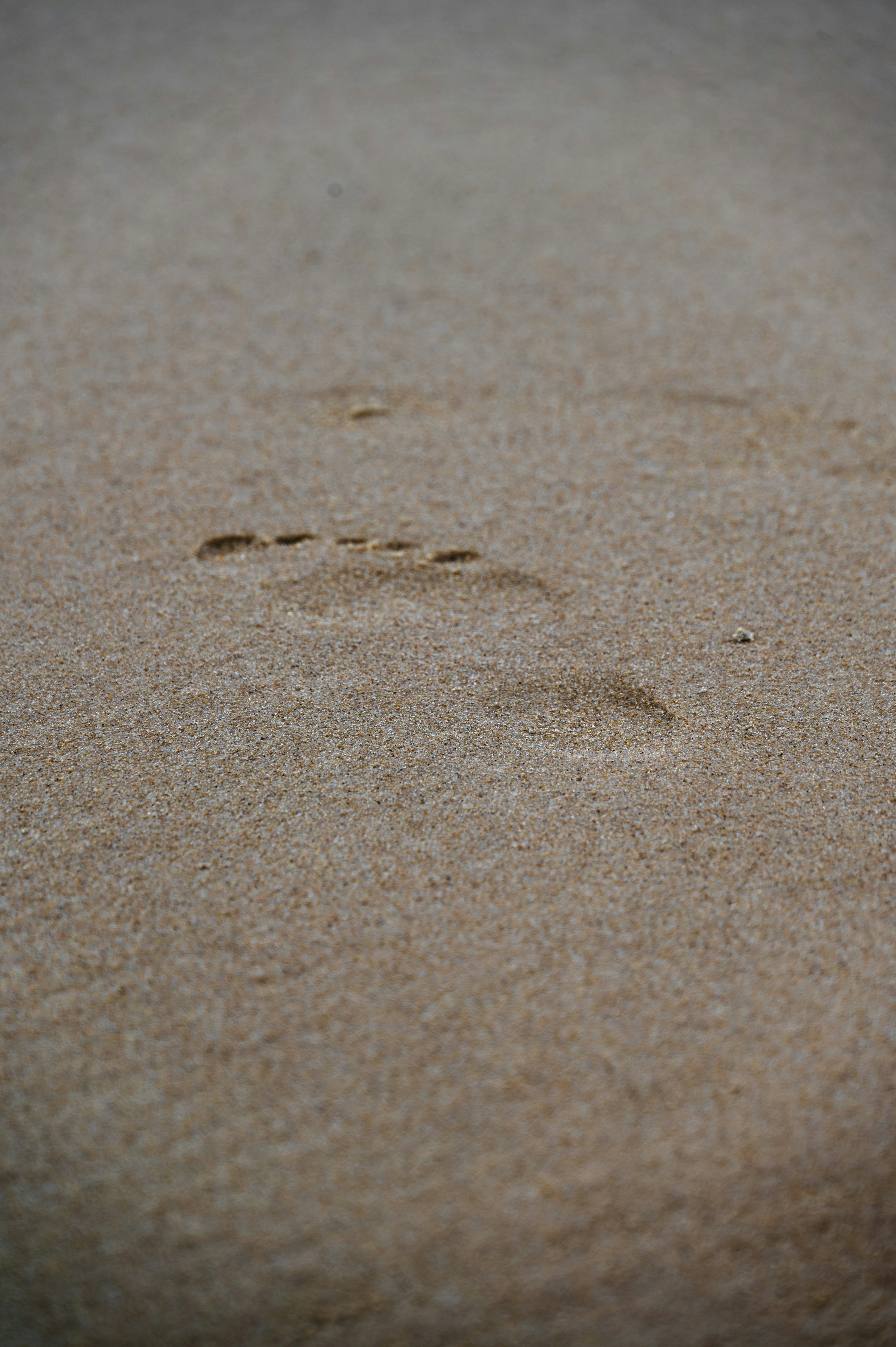 Photo by excellentcx