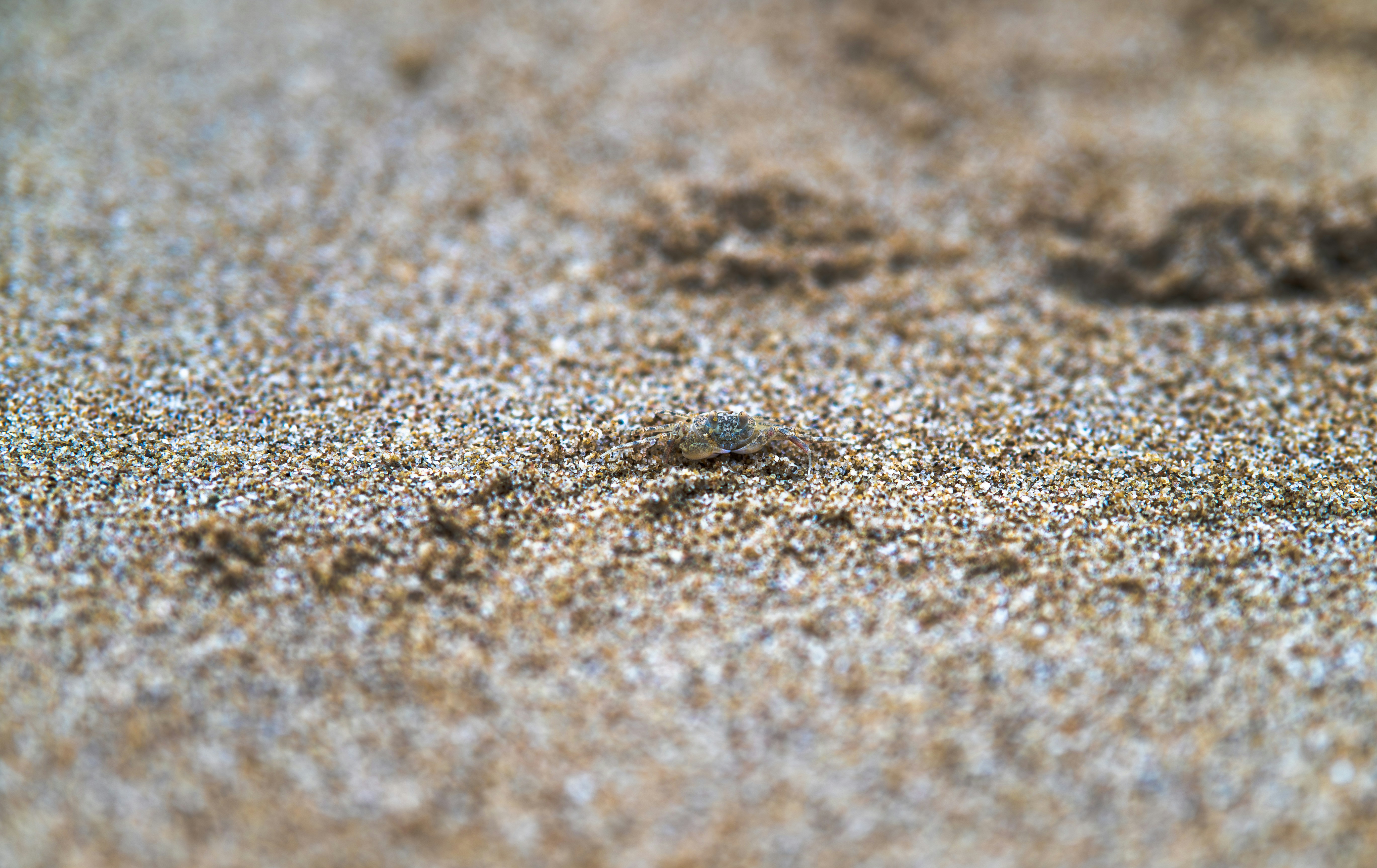 Photo by excellentcx