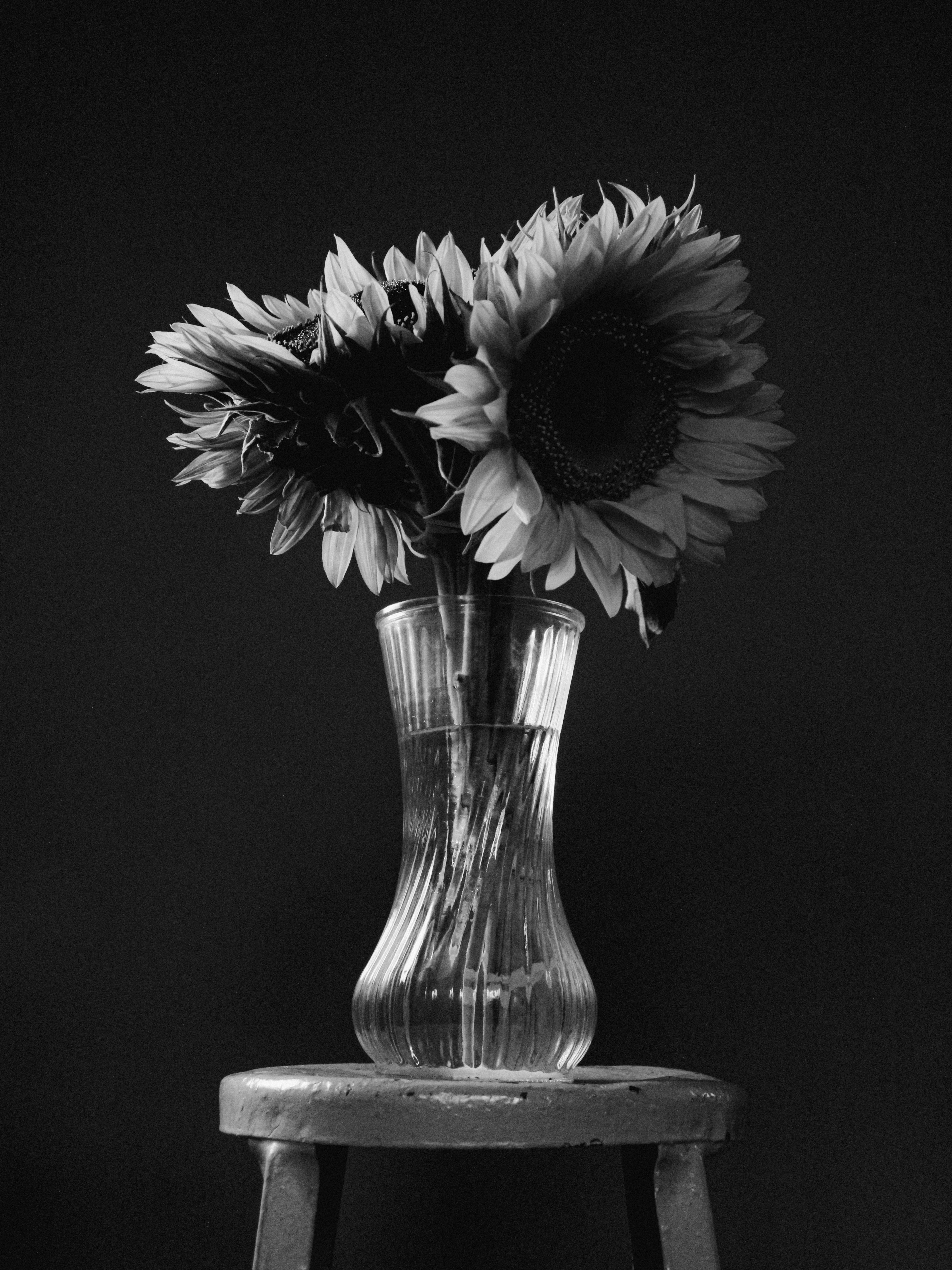 Photo by linusbelanger