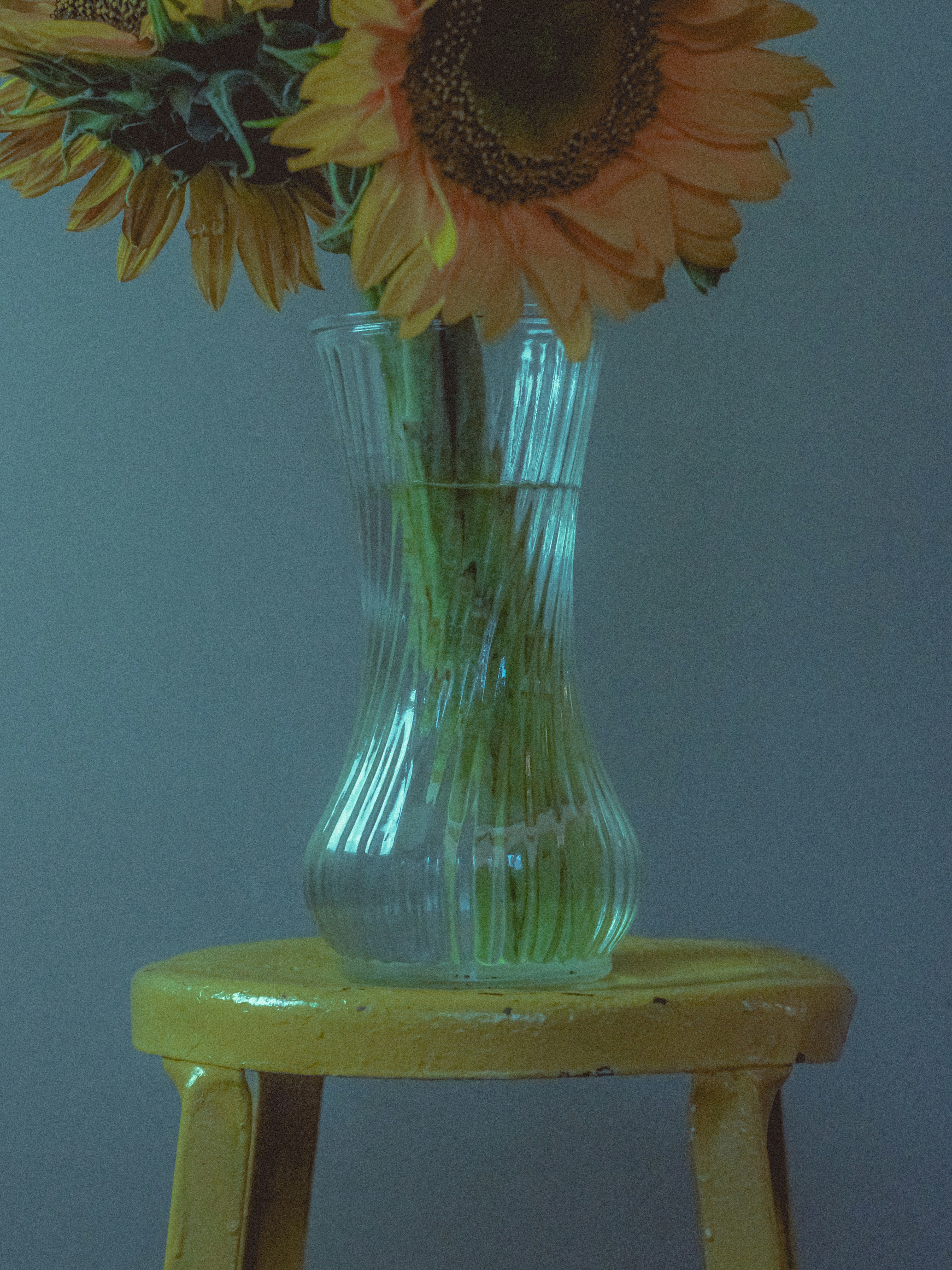 Photo by linusbelanger