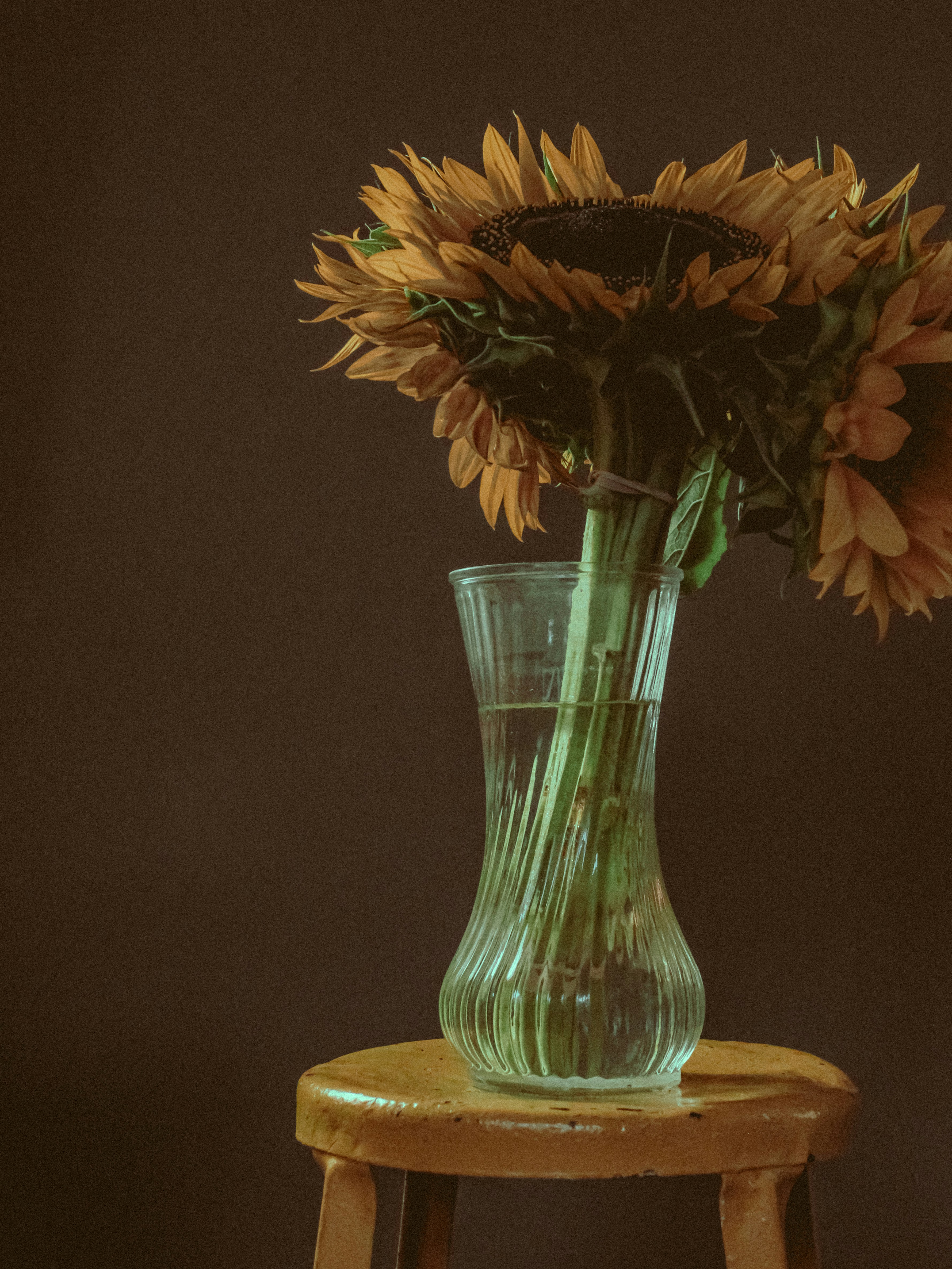 Photo by linusbelanger