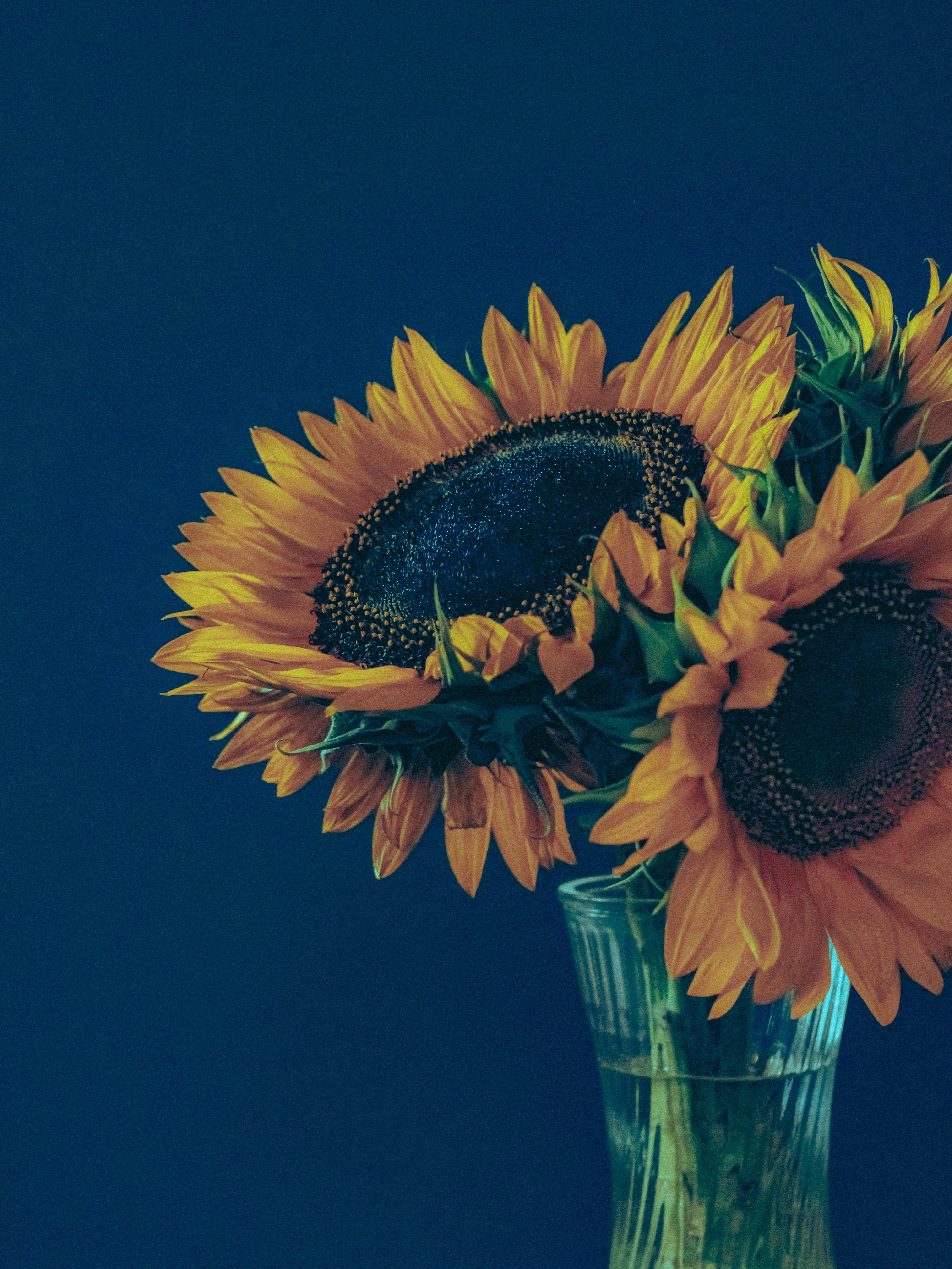 Photo by linusbelanger