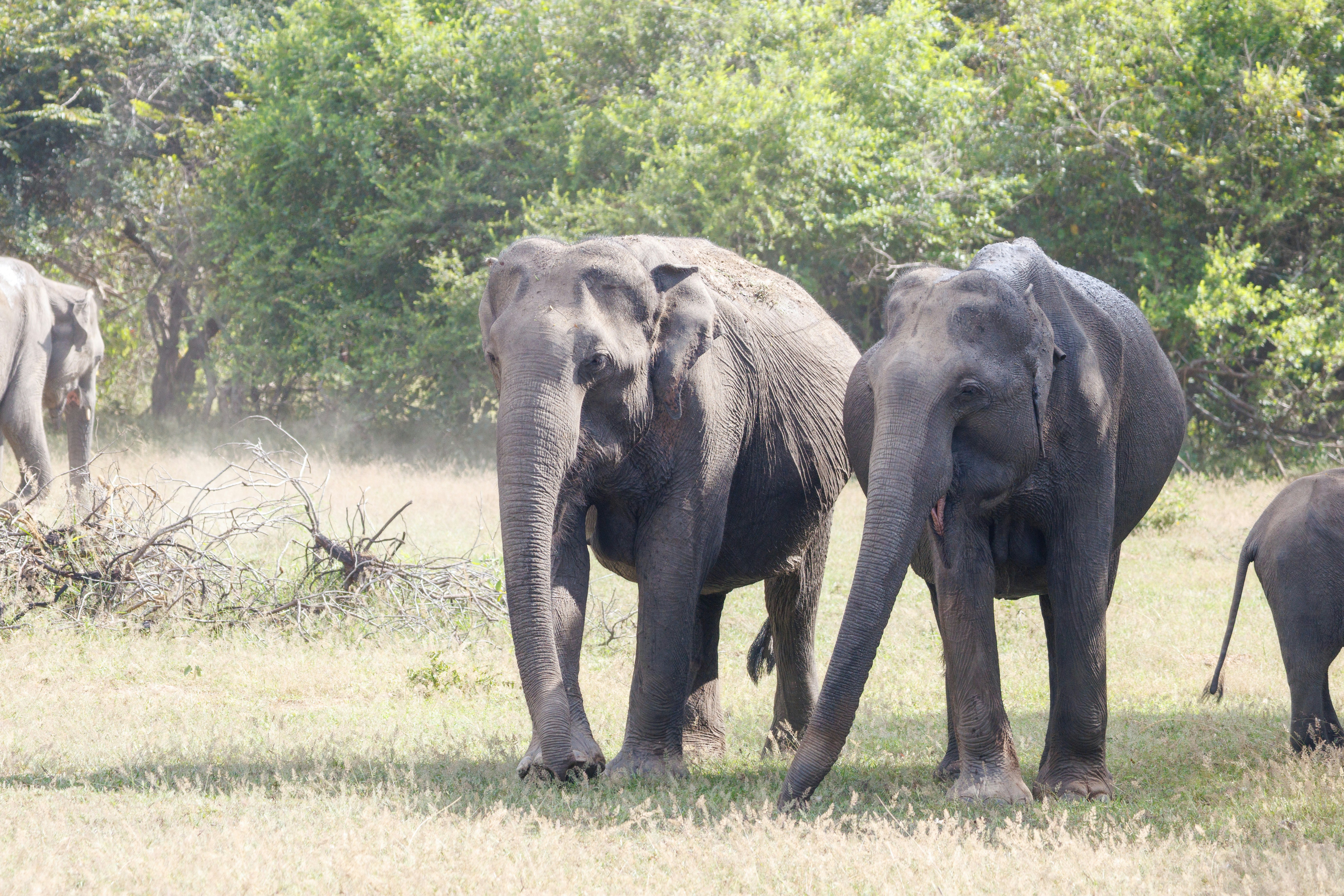 Photo by stockbirken