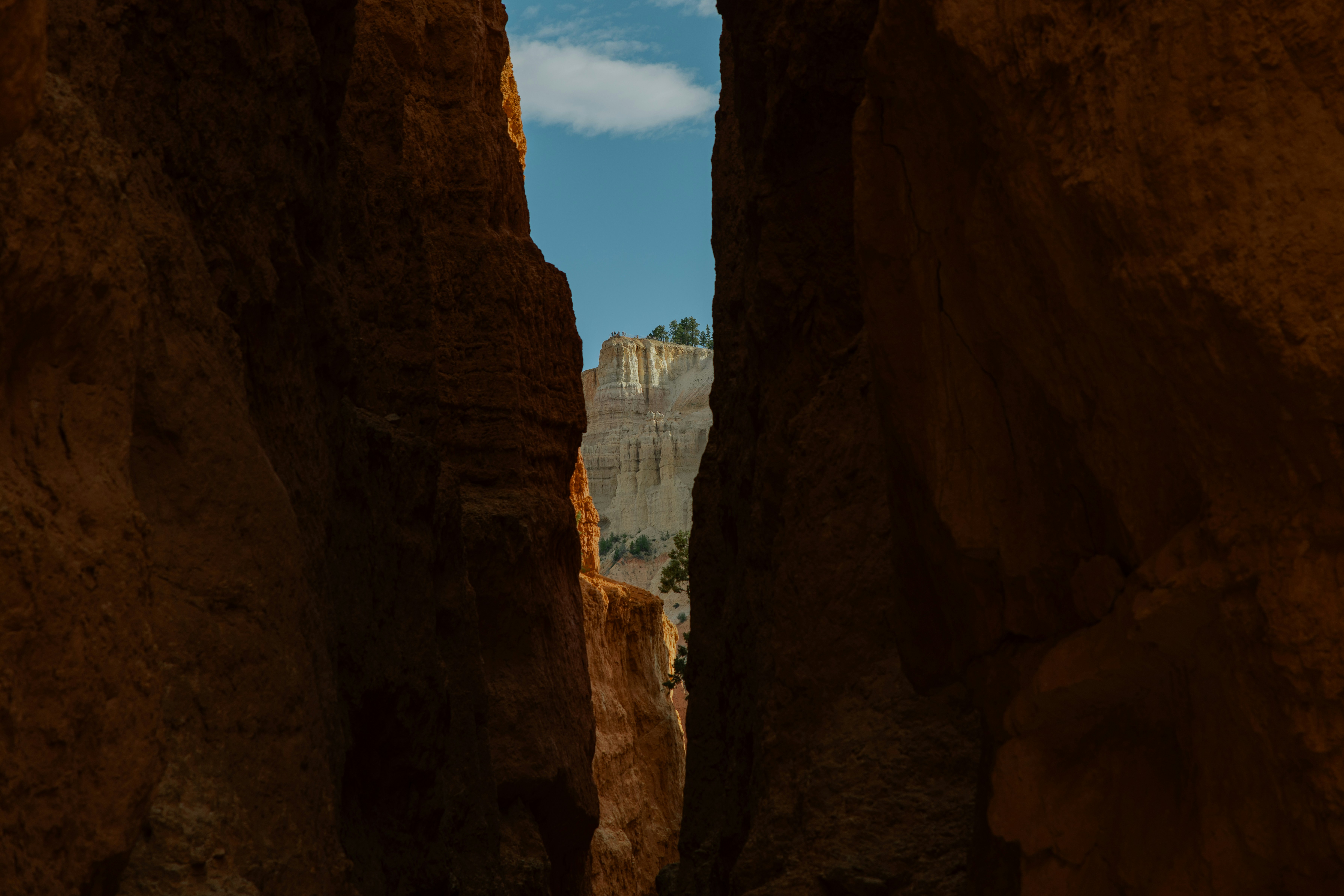 Narrow canyon with a sliver of blue sky above