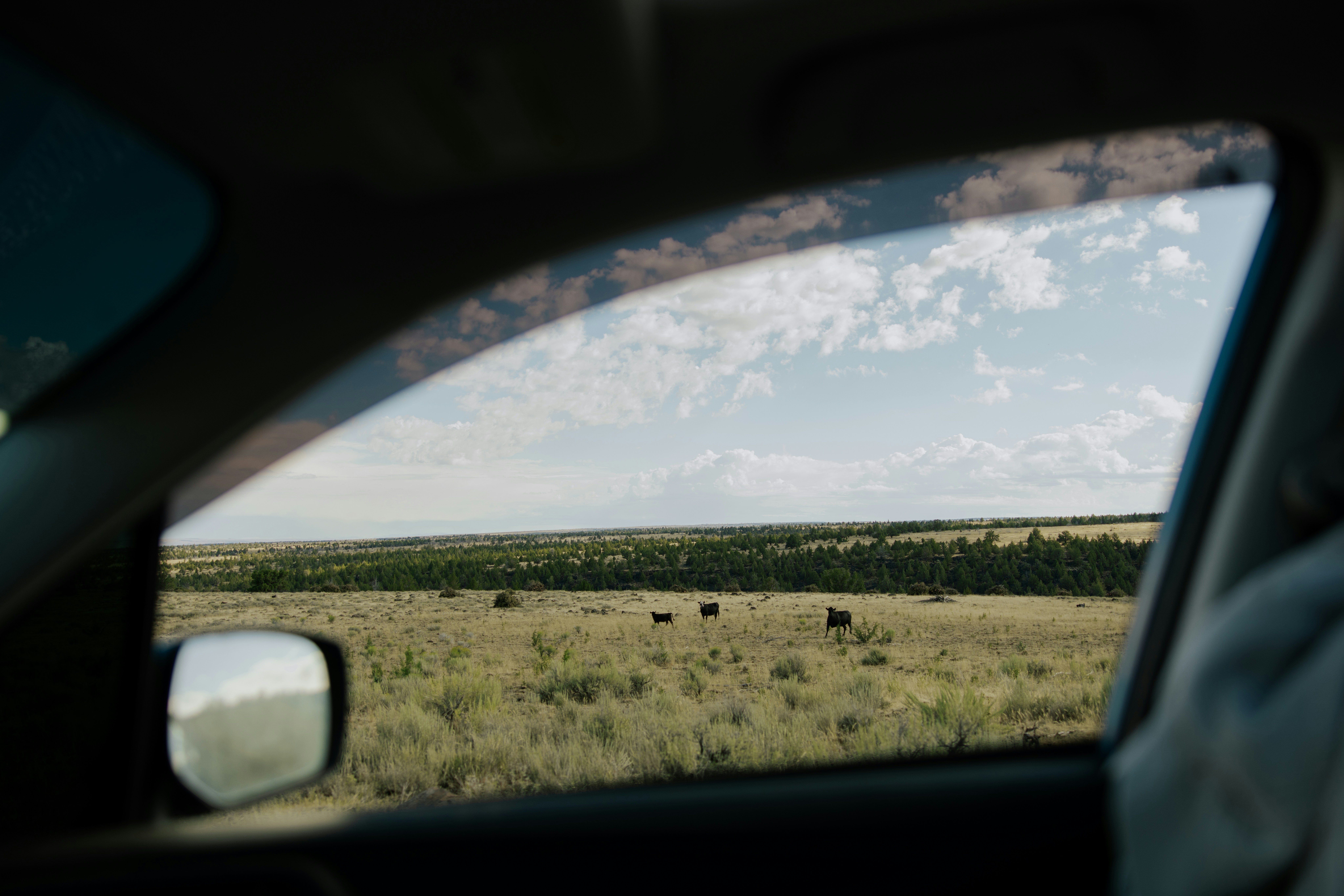 Award-Winning Business Landscaping Maintenance: TruCo Services Utah's Comprehensive Guide to All-Season Property Care